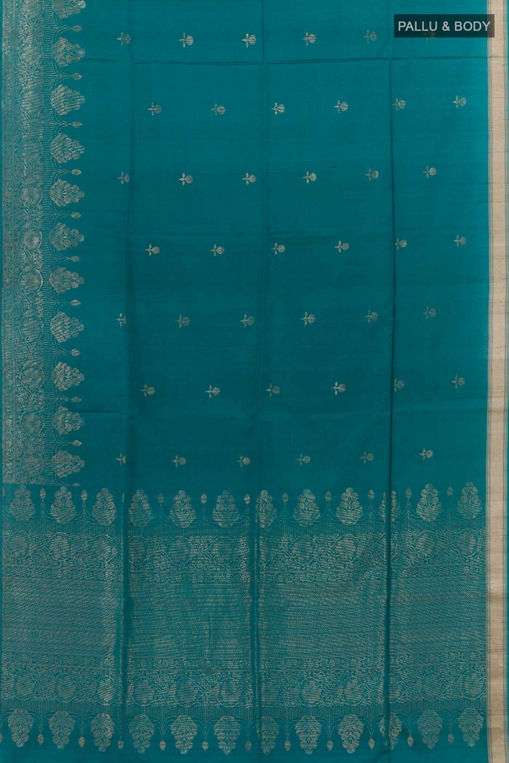 pallu body