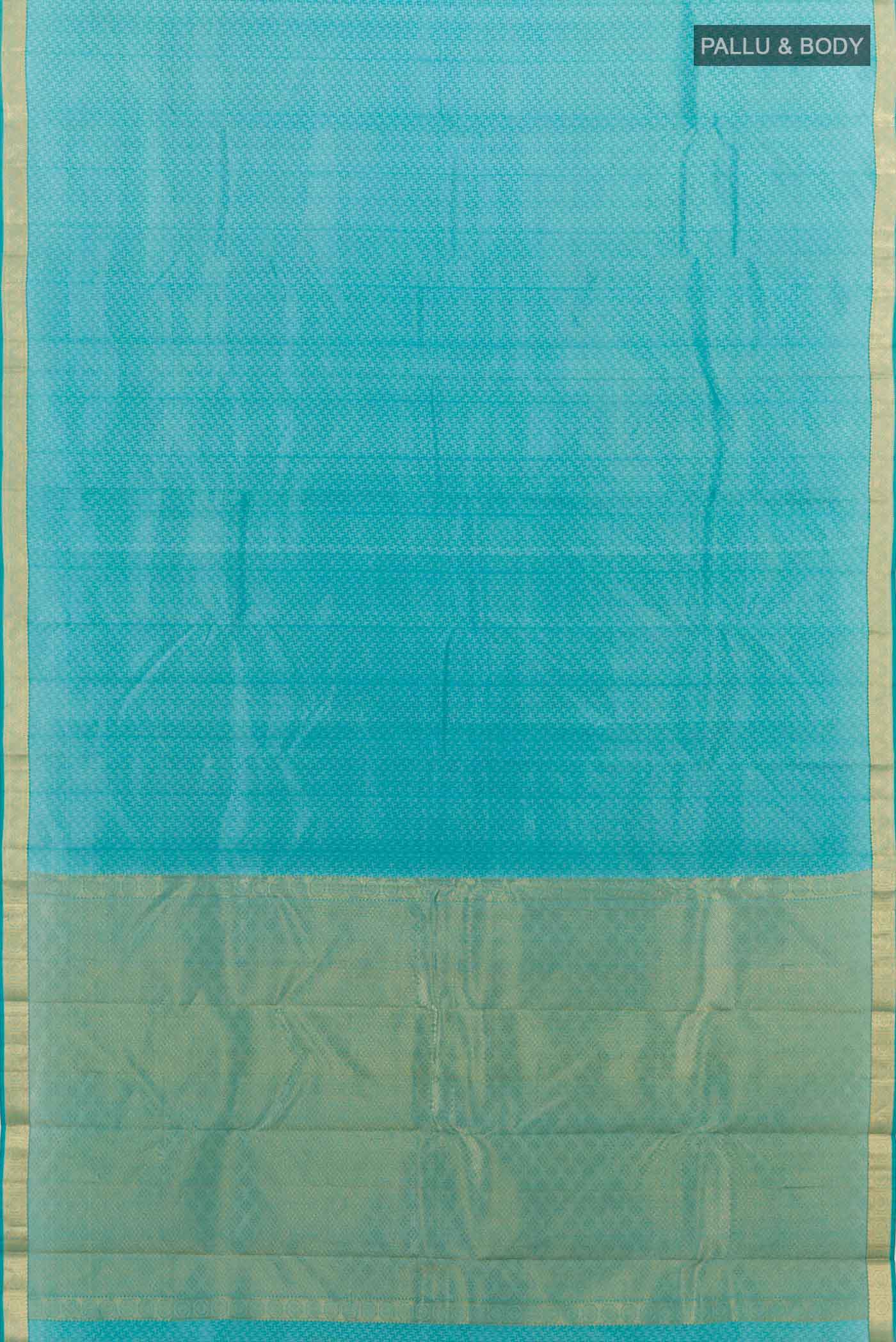 pallu body