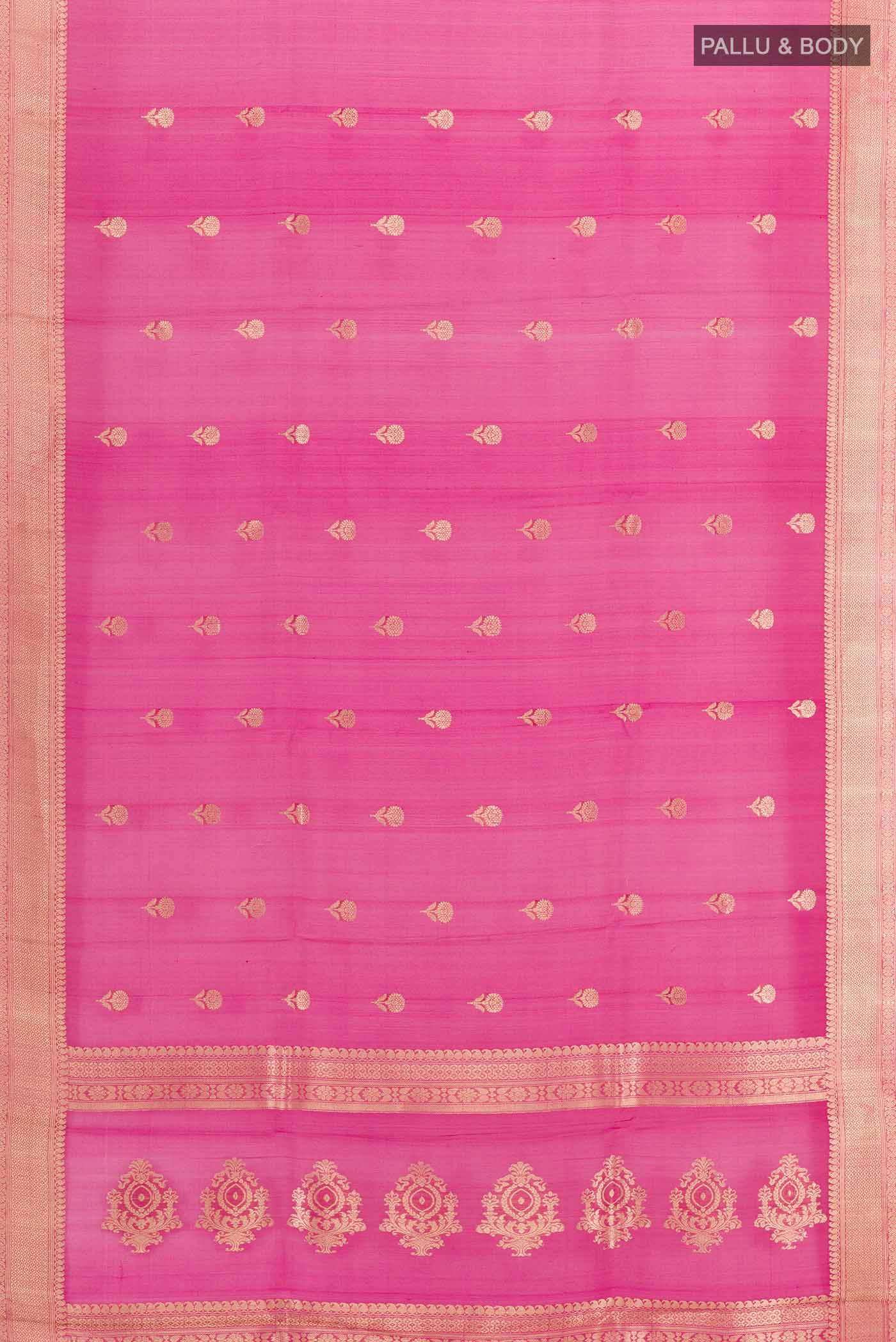 pallu body