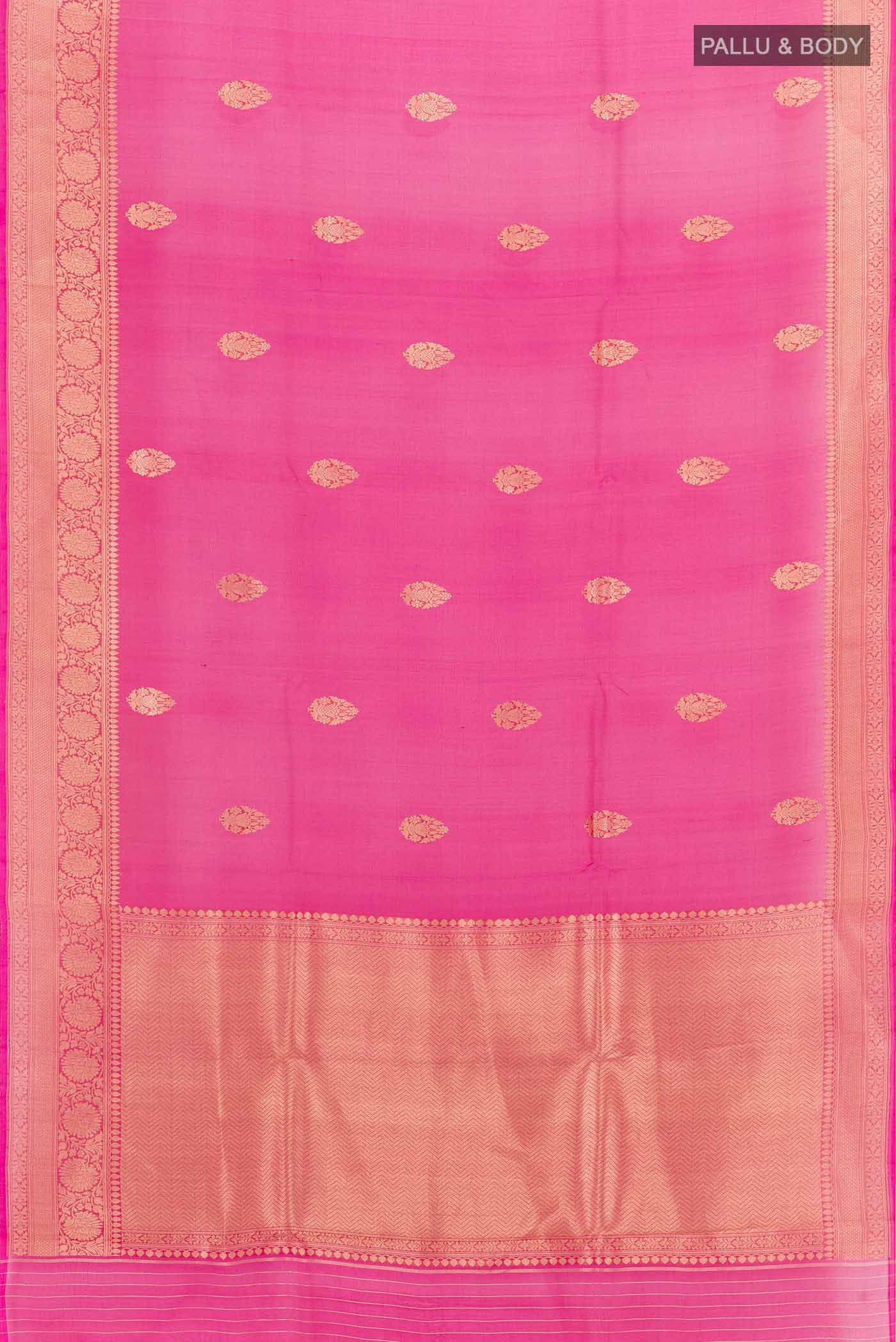 pallu body