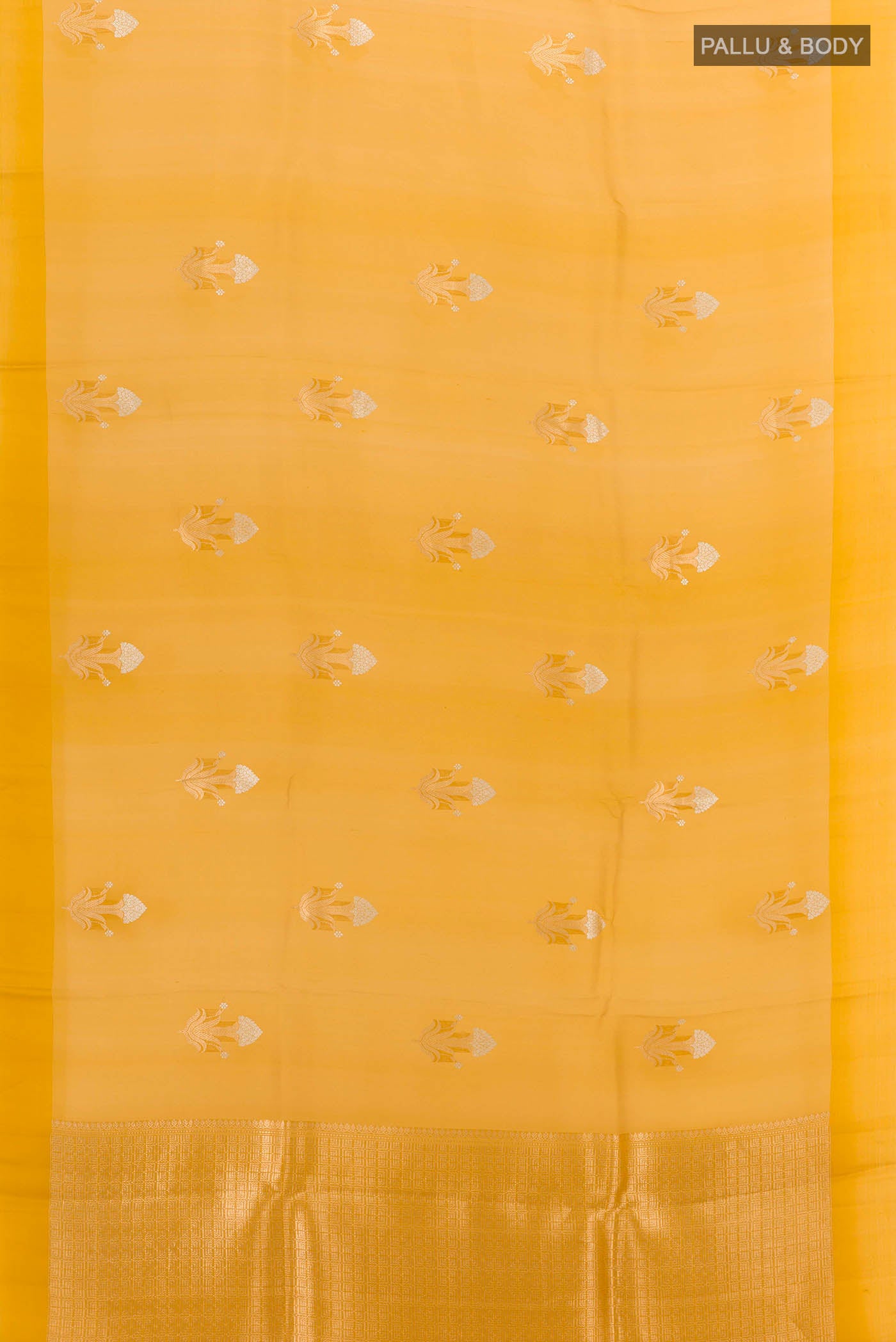 pallu body