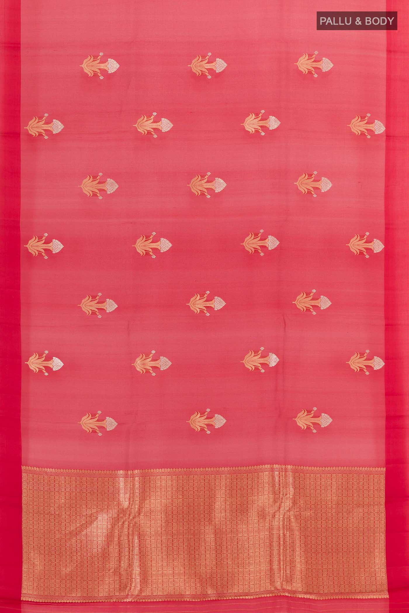 pallu body
