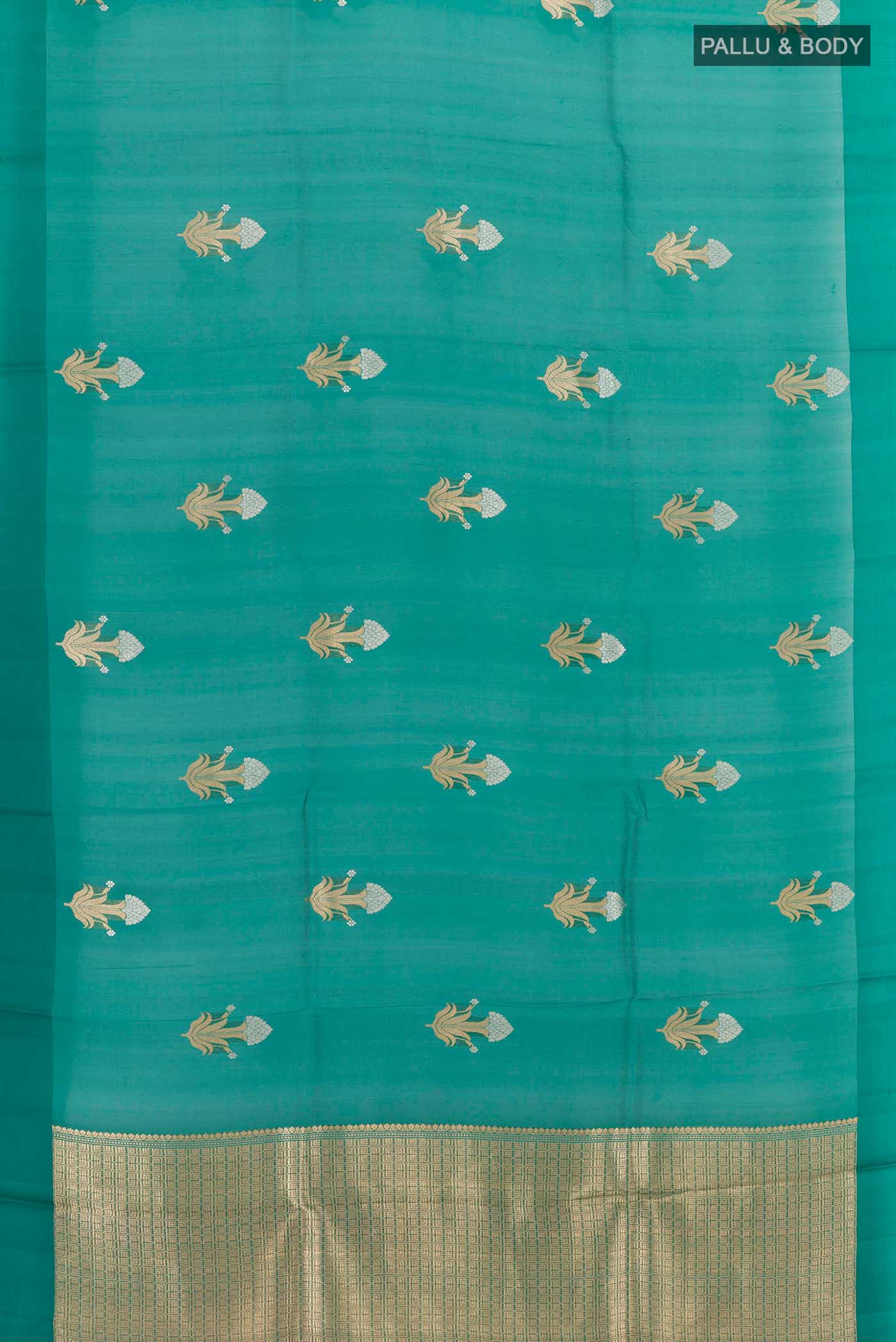 pallu body
