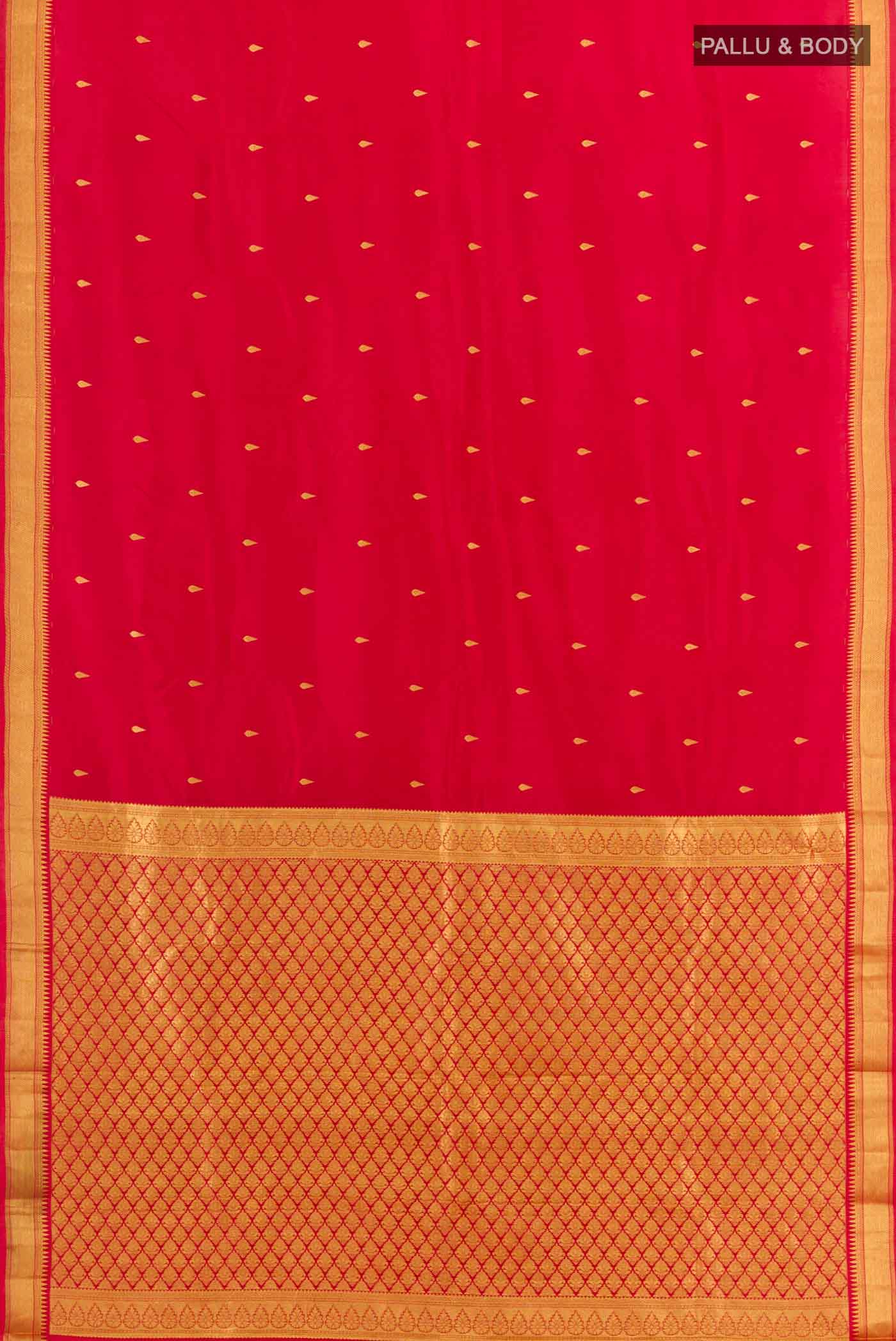 pallu body