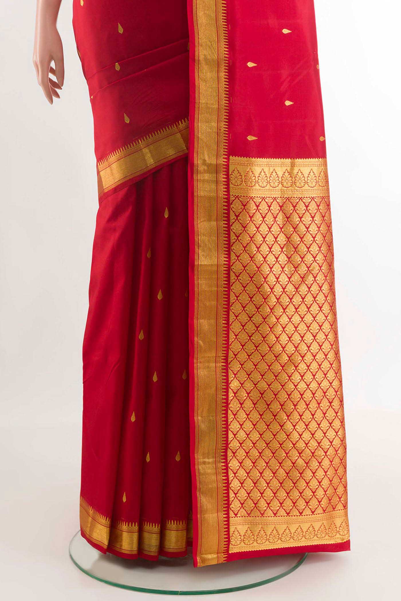 pleats pallu