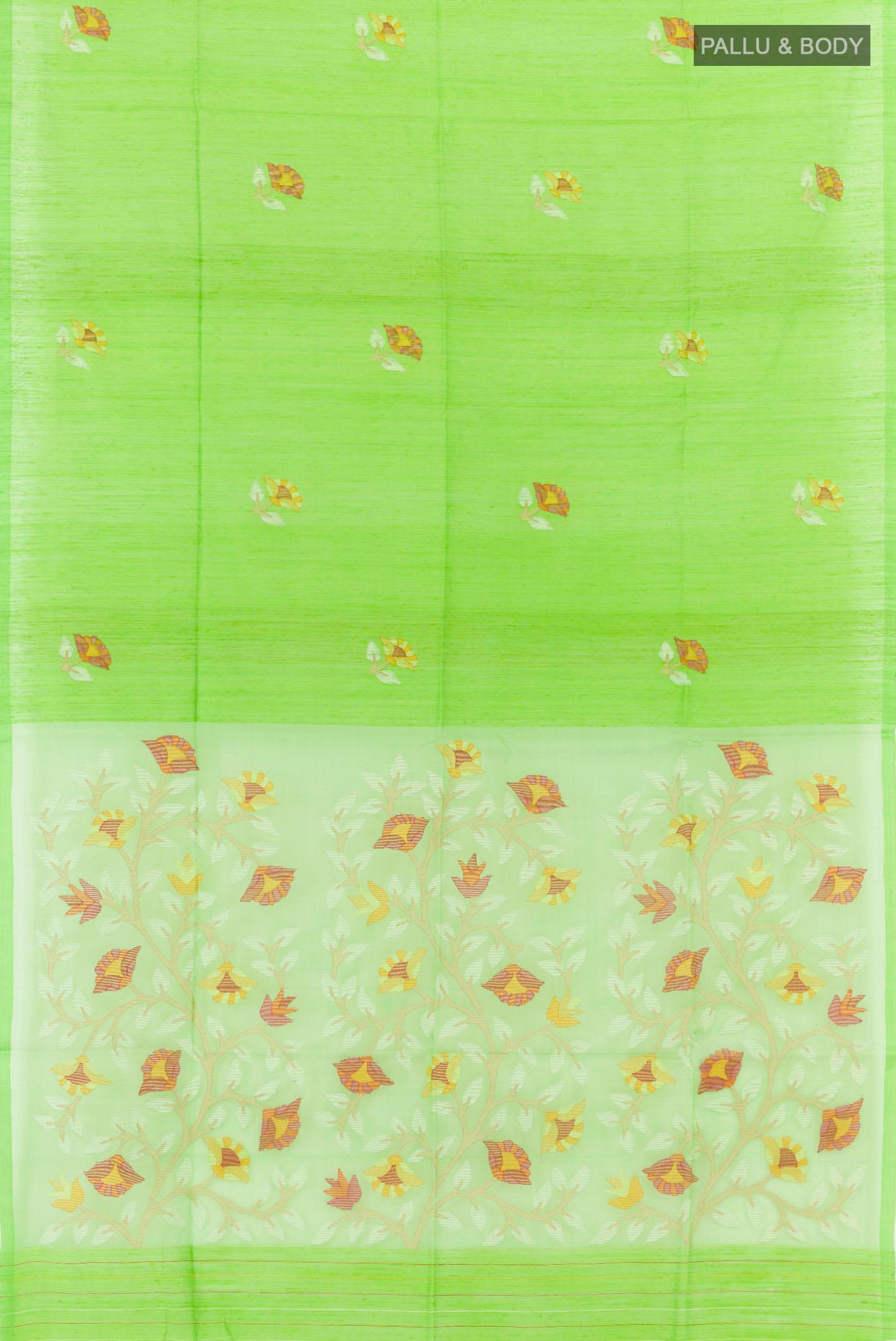 pallu body