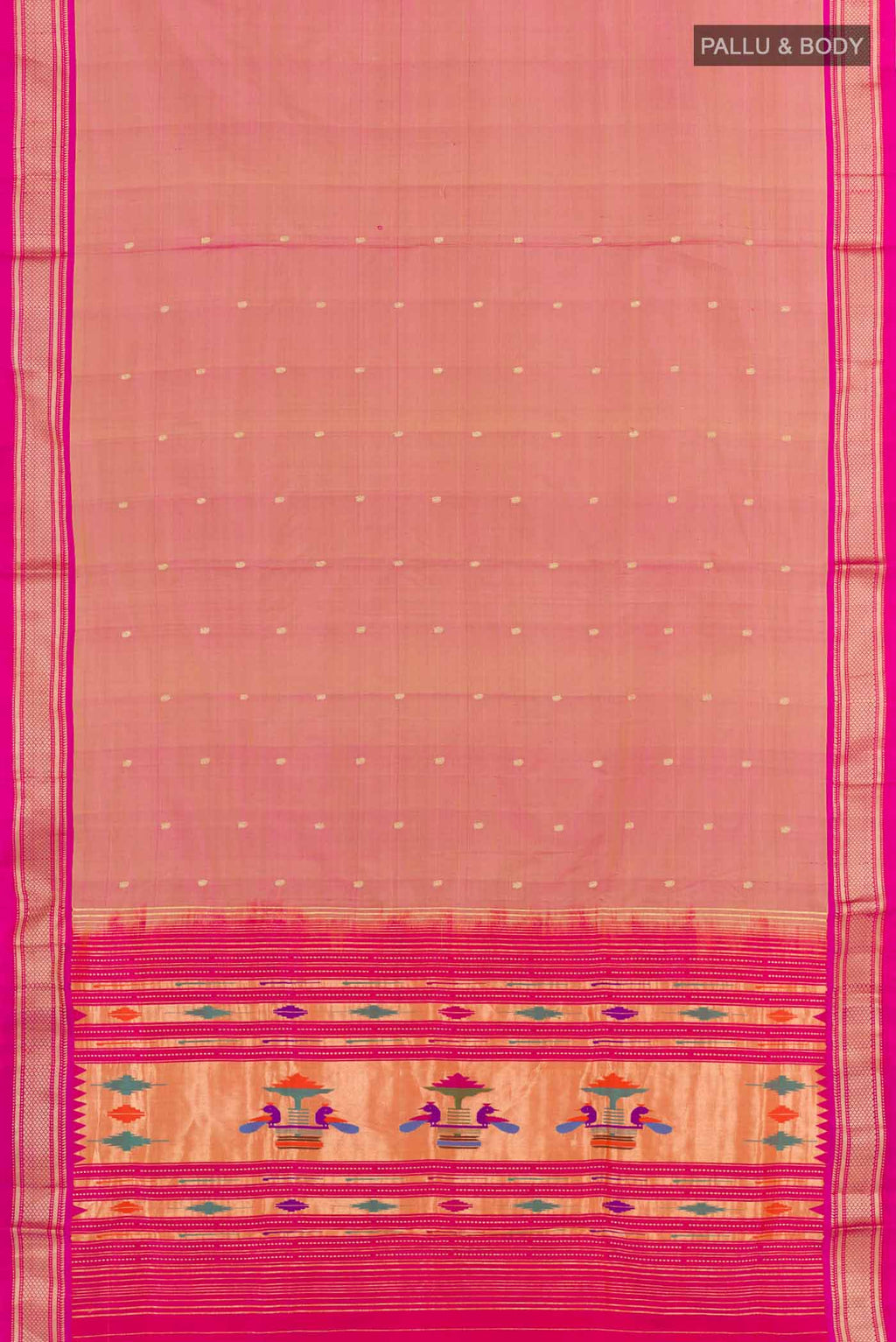 pallu body
