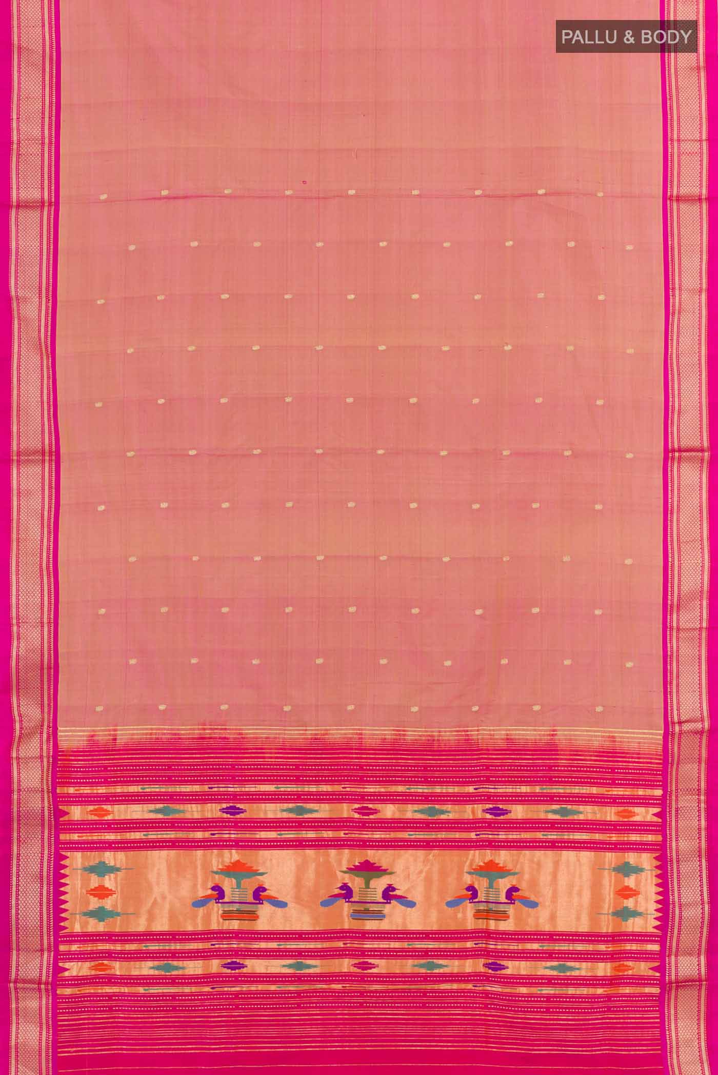 pallu body