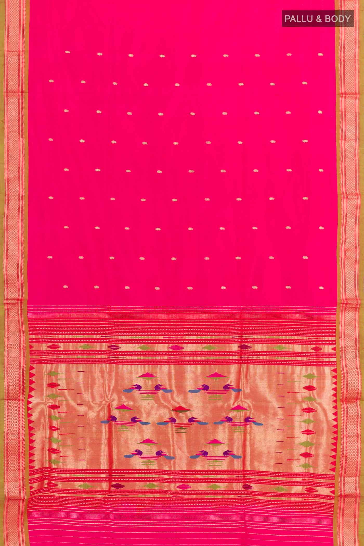 pallu body