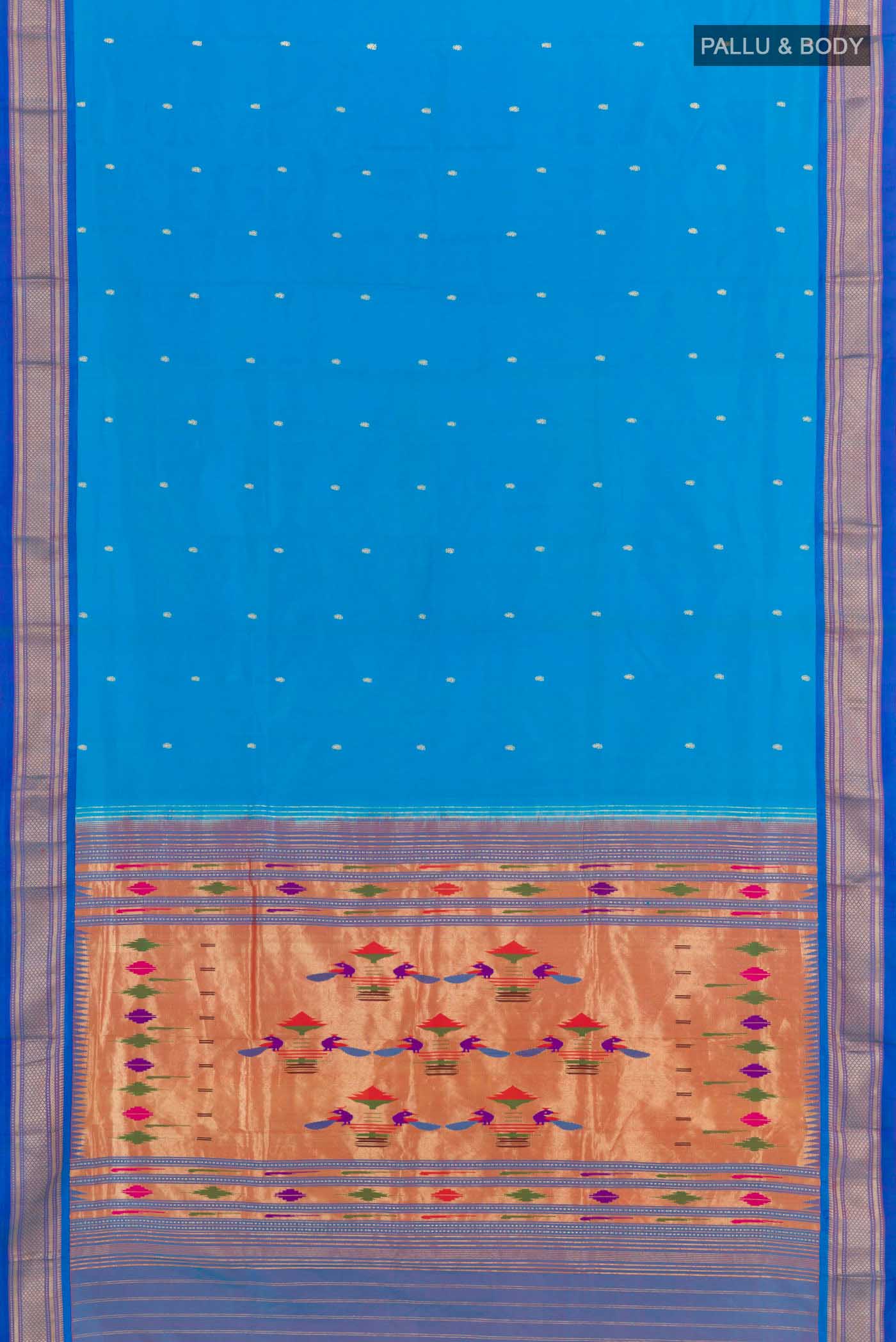 pallu body