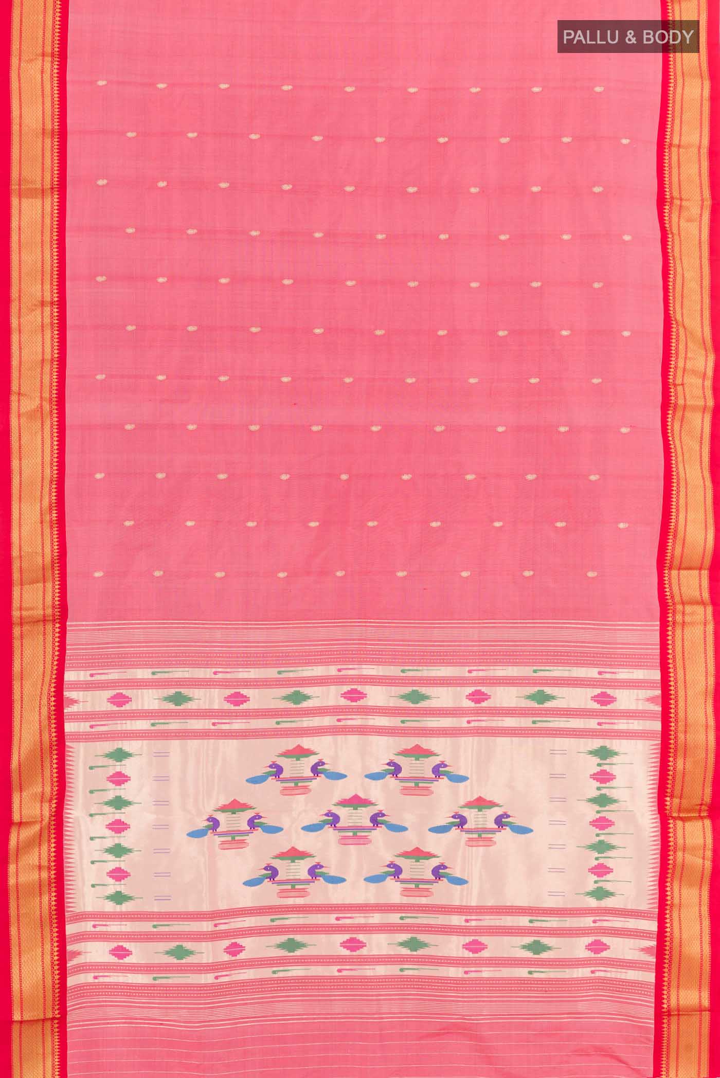 pallu body