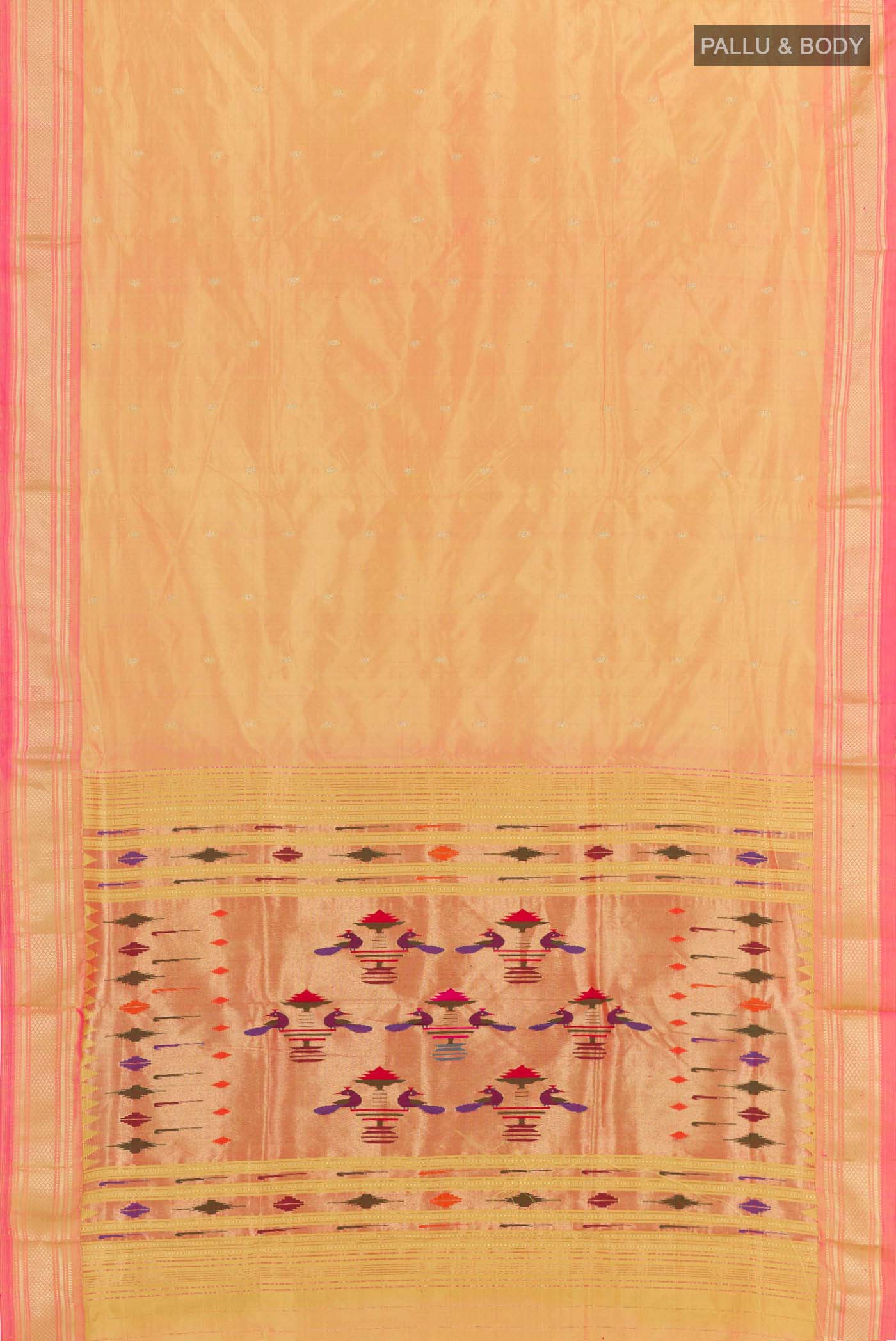 pallu body