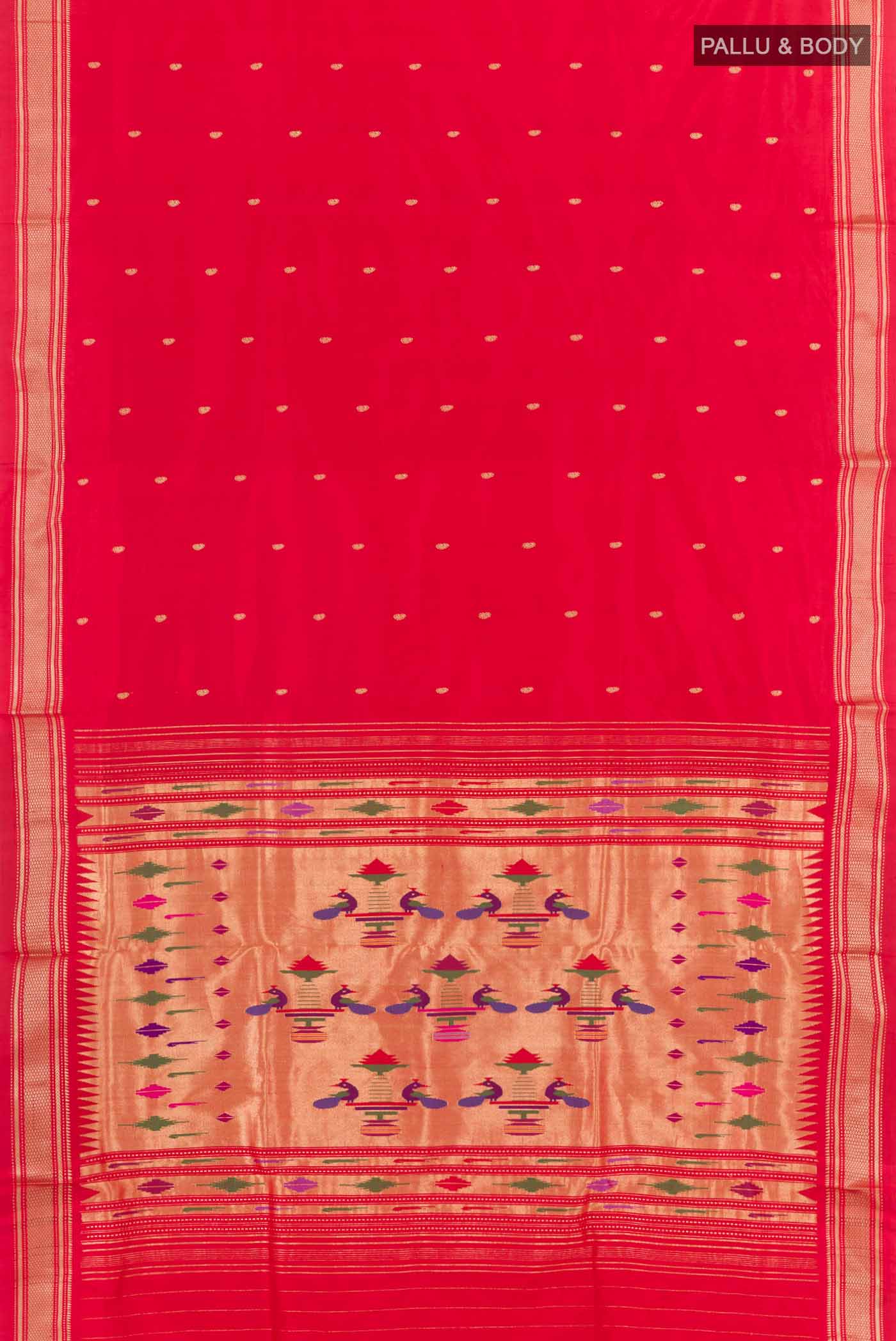 pallu body