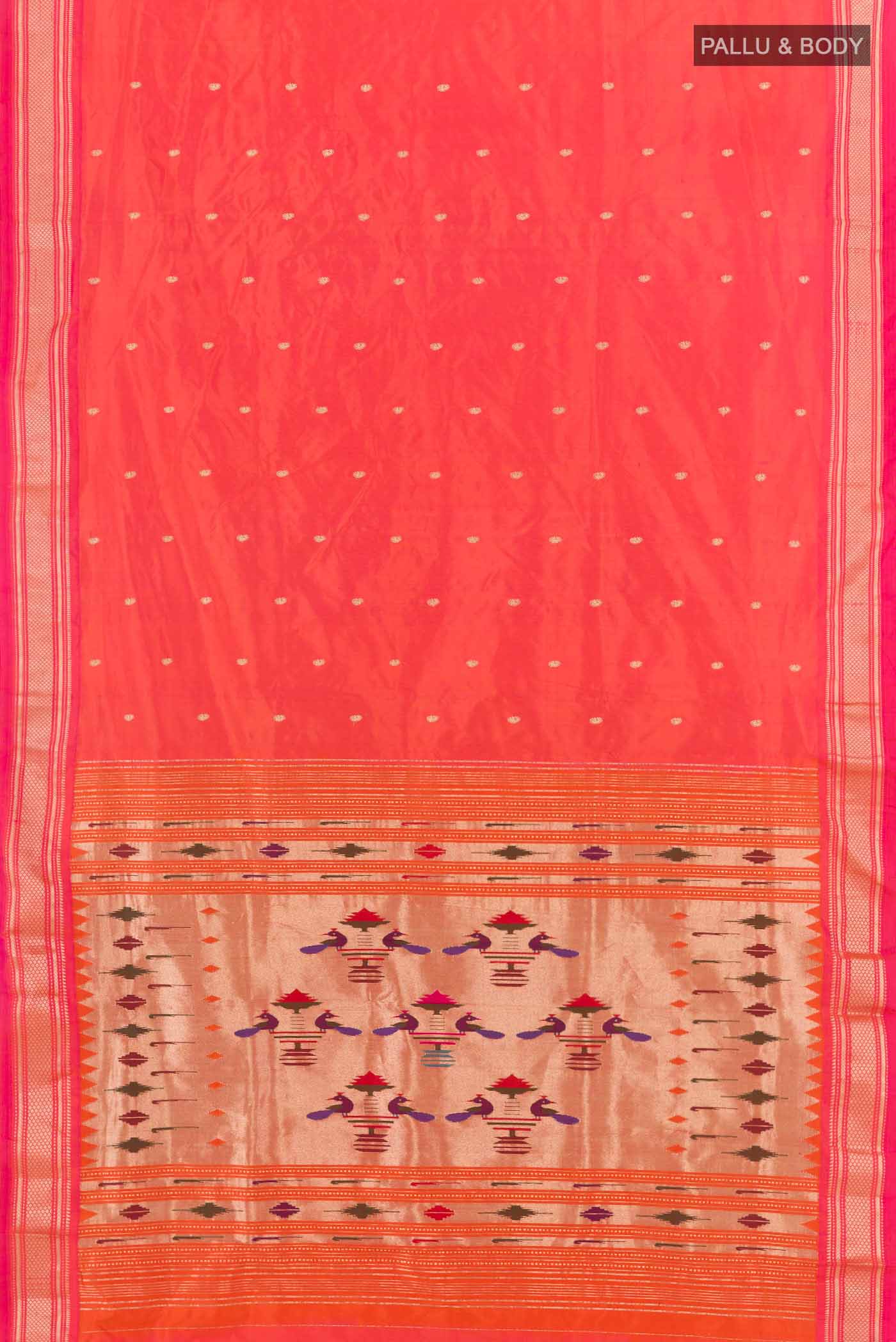 pallu body
