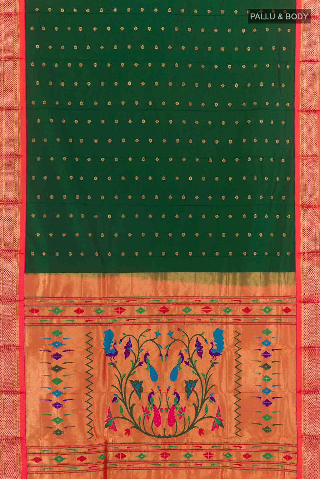 pallu body