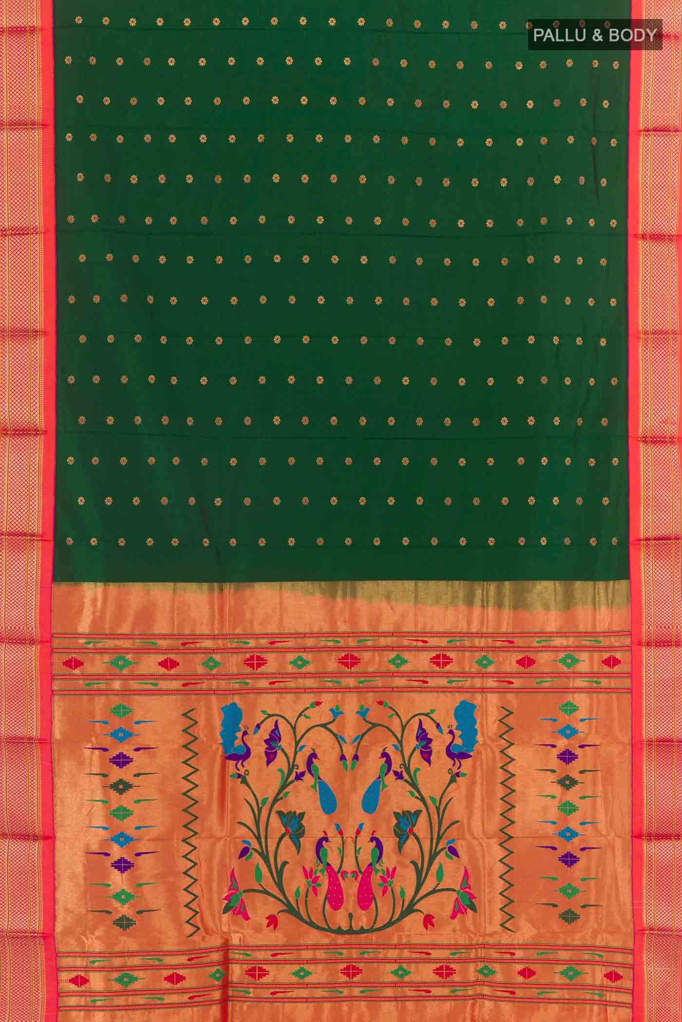 pallu body
