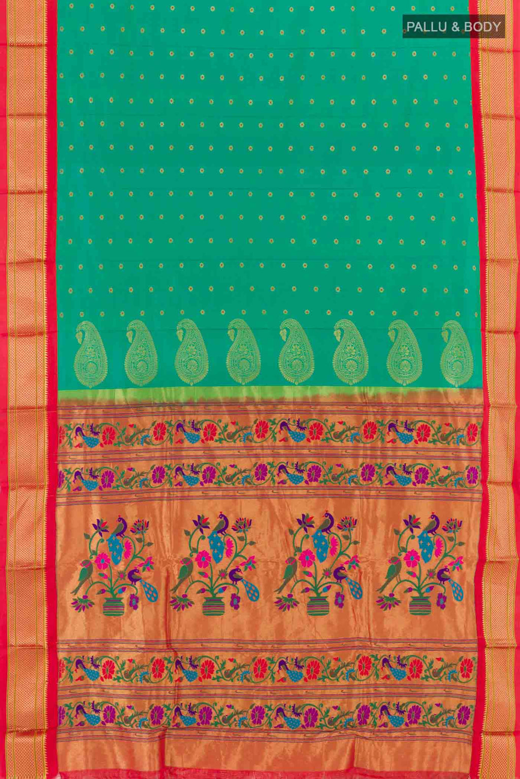 pallu body