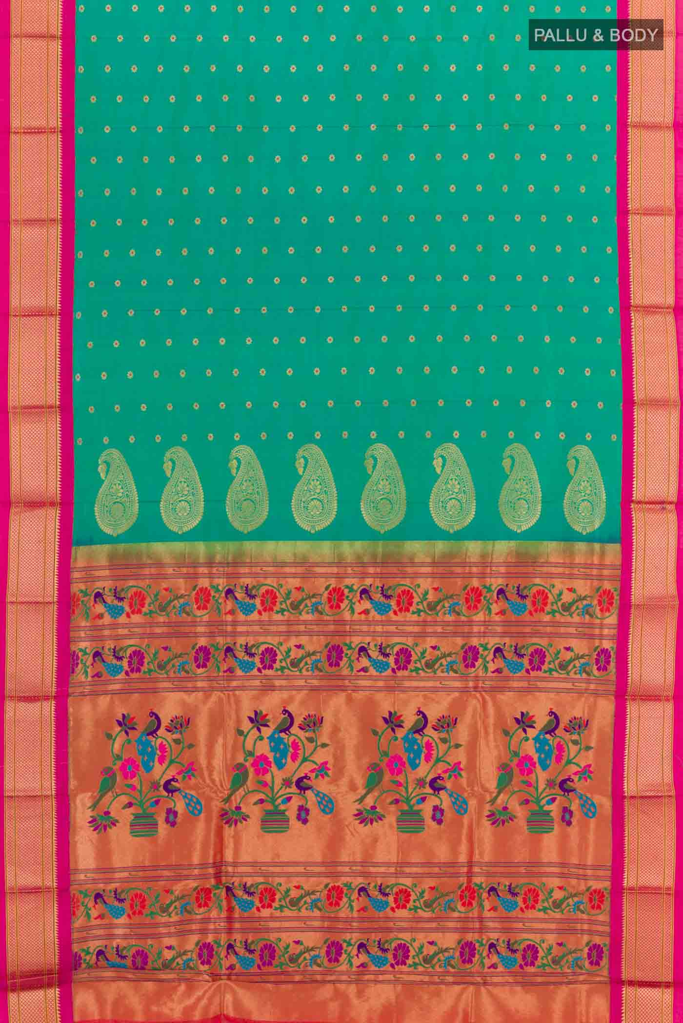 pallu body