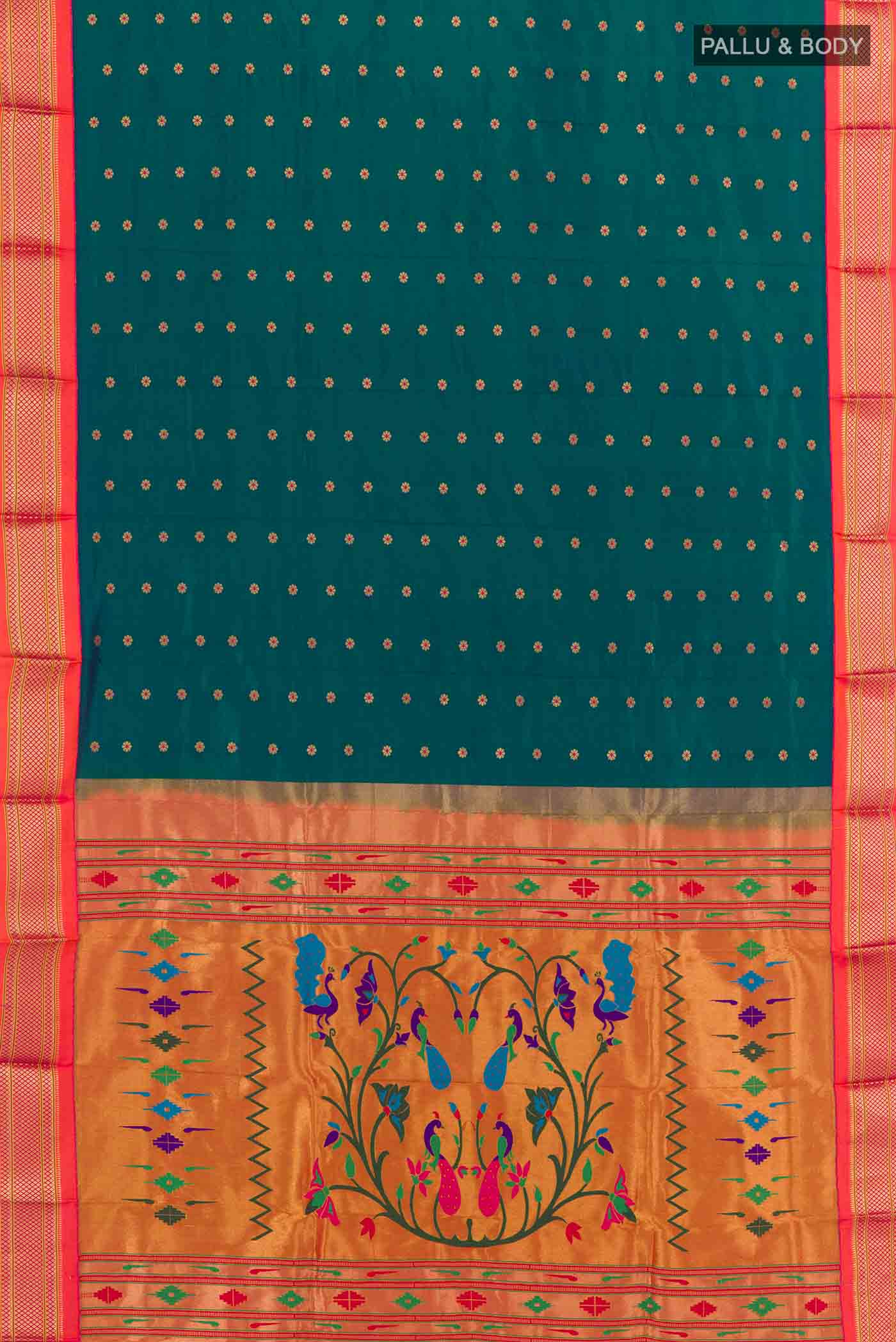 pallu body