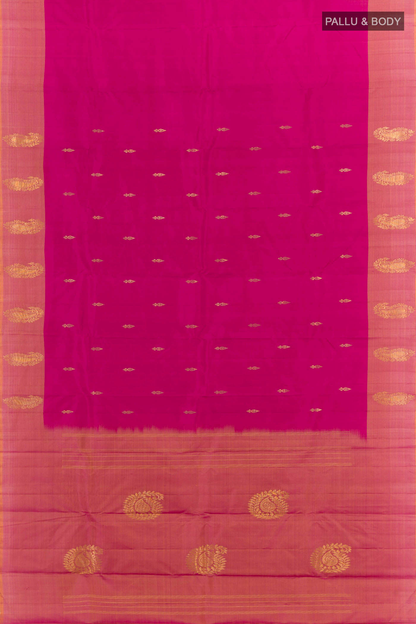 pallu body
