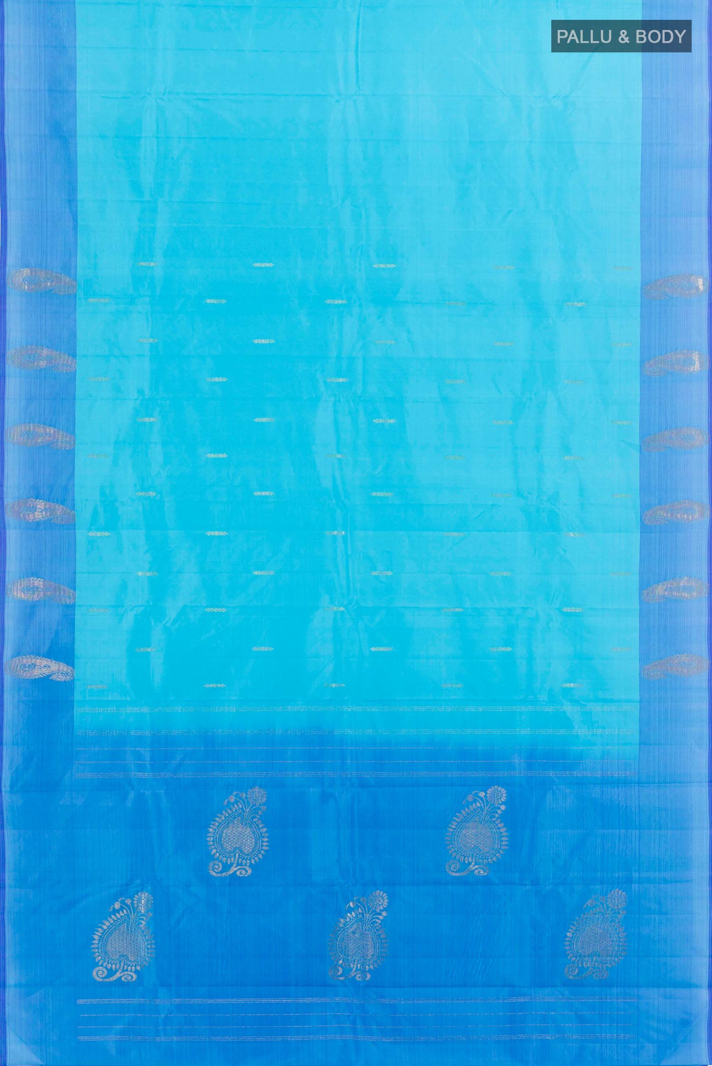 pallu body