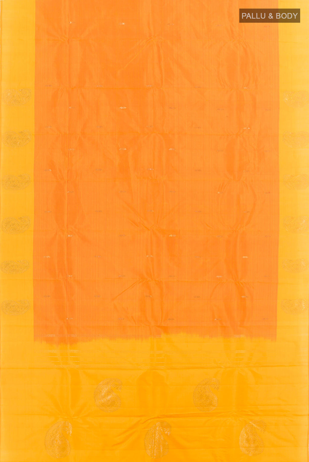 pallu body