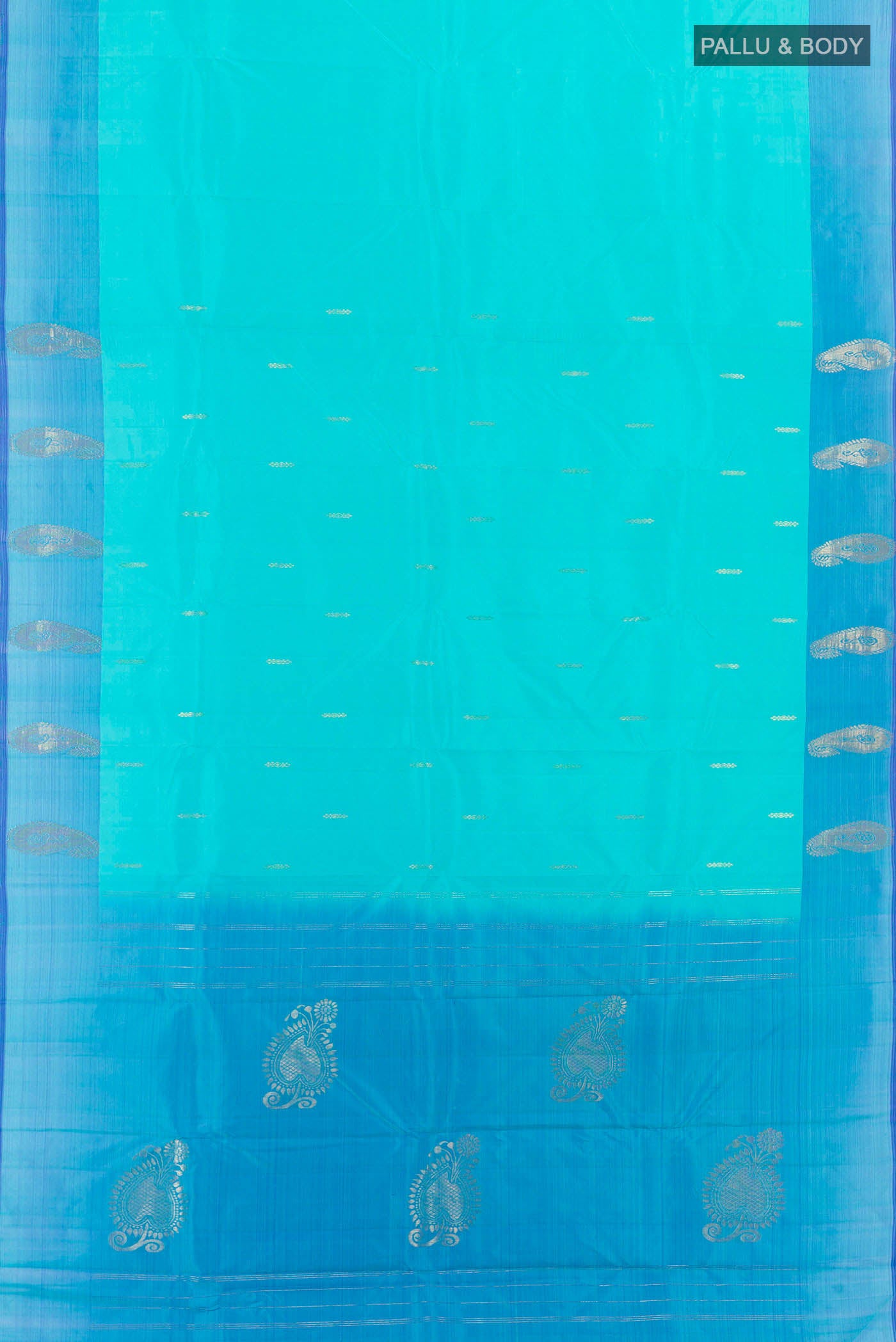 pallu body
