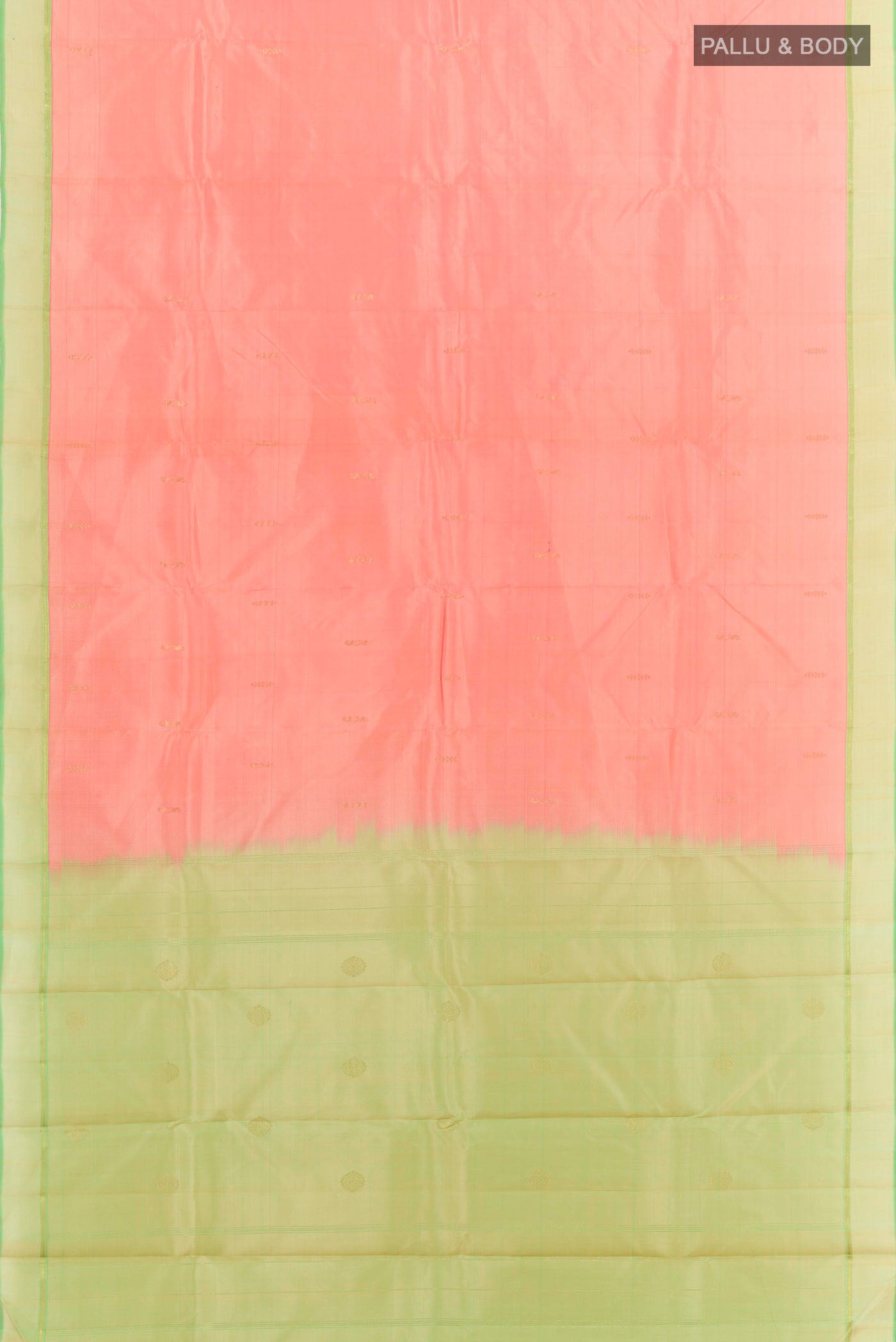 pallu body
