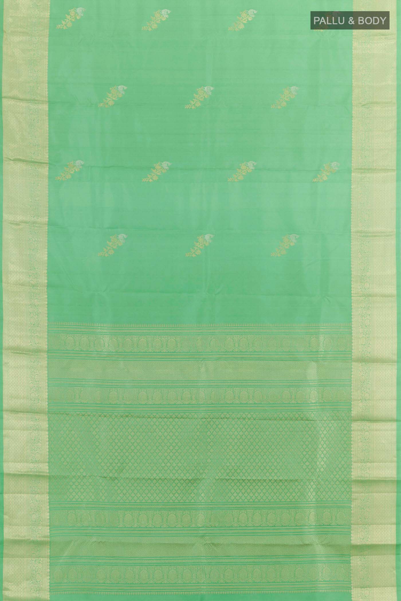 pallu body
