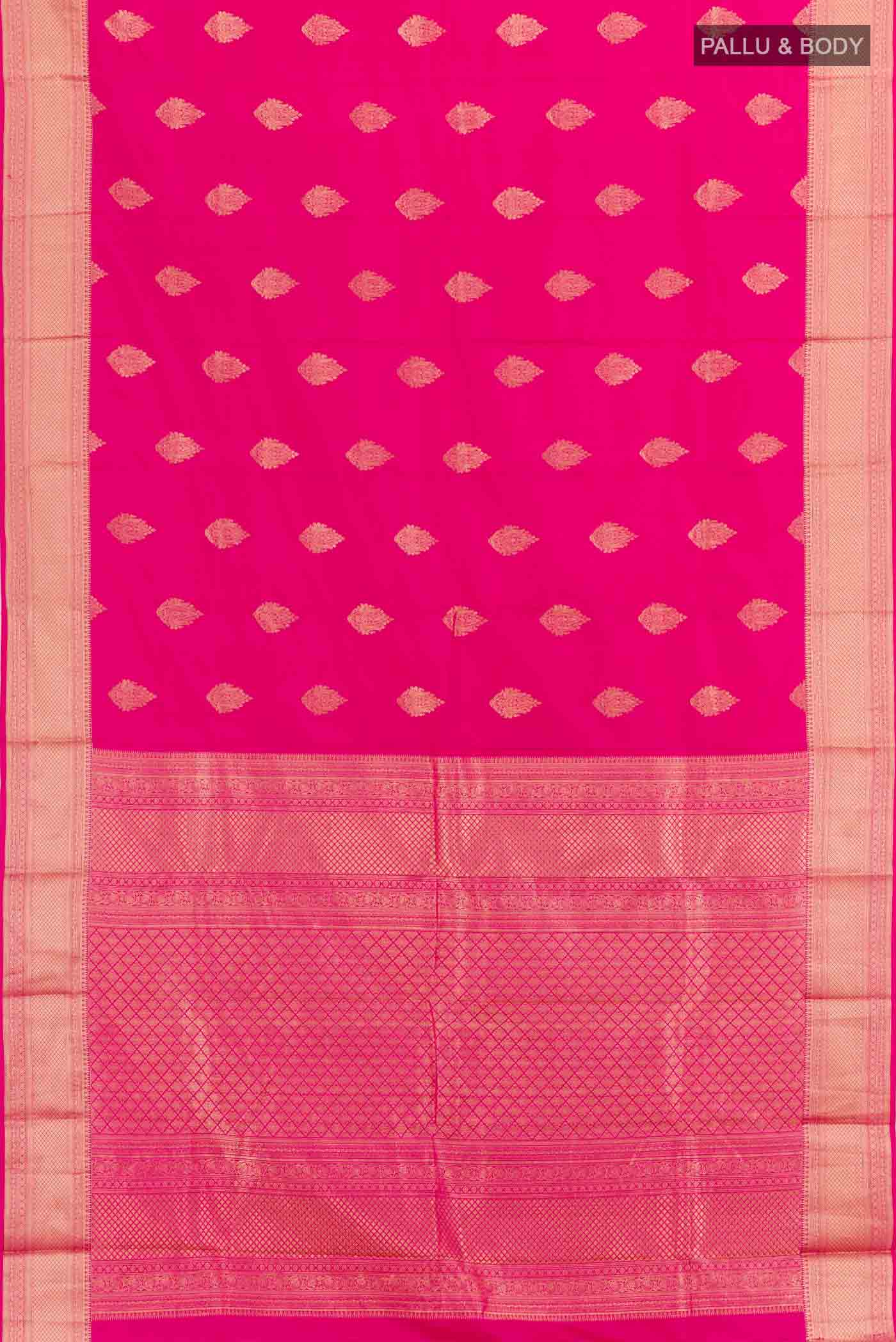 pallu body