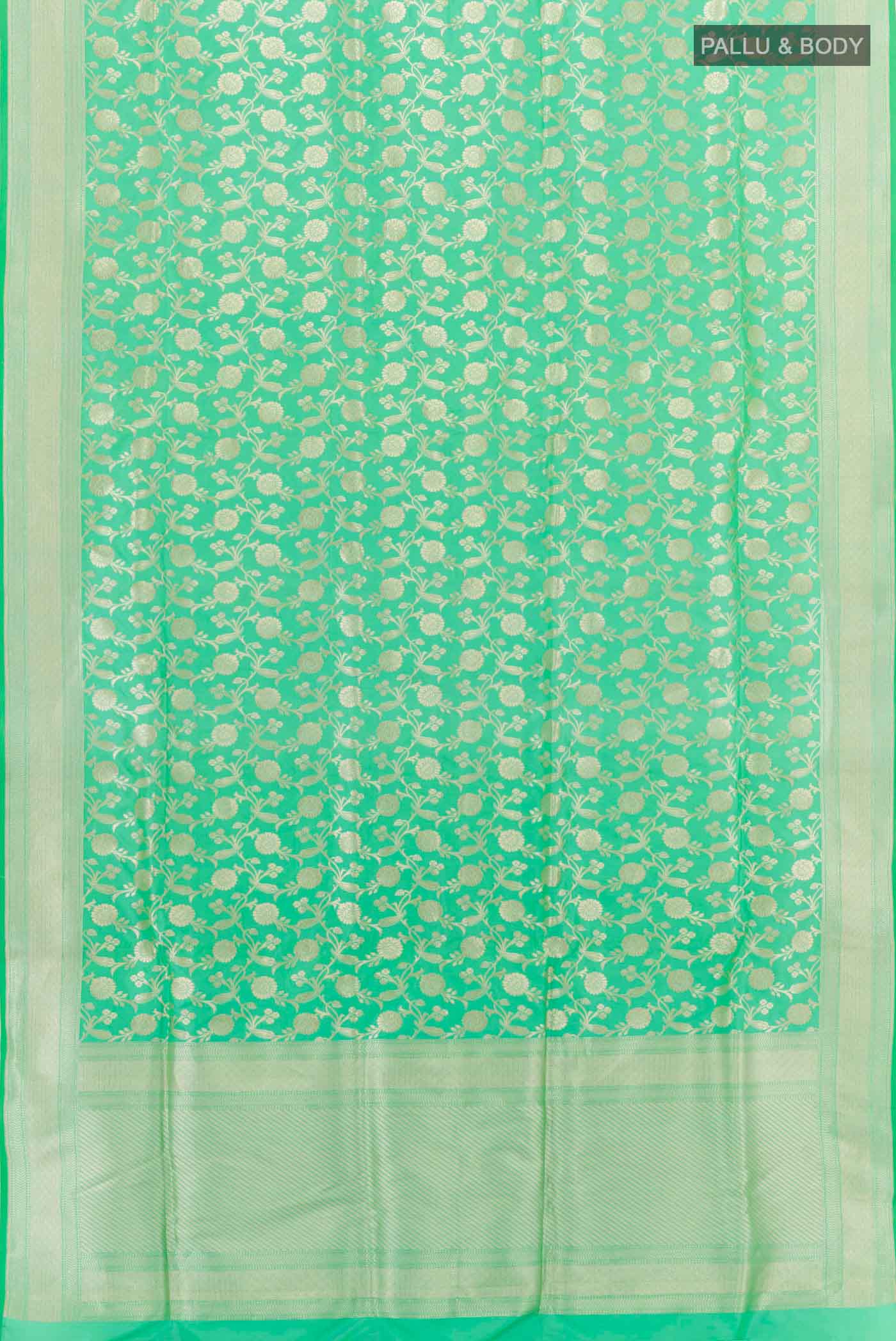 pallu body