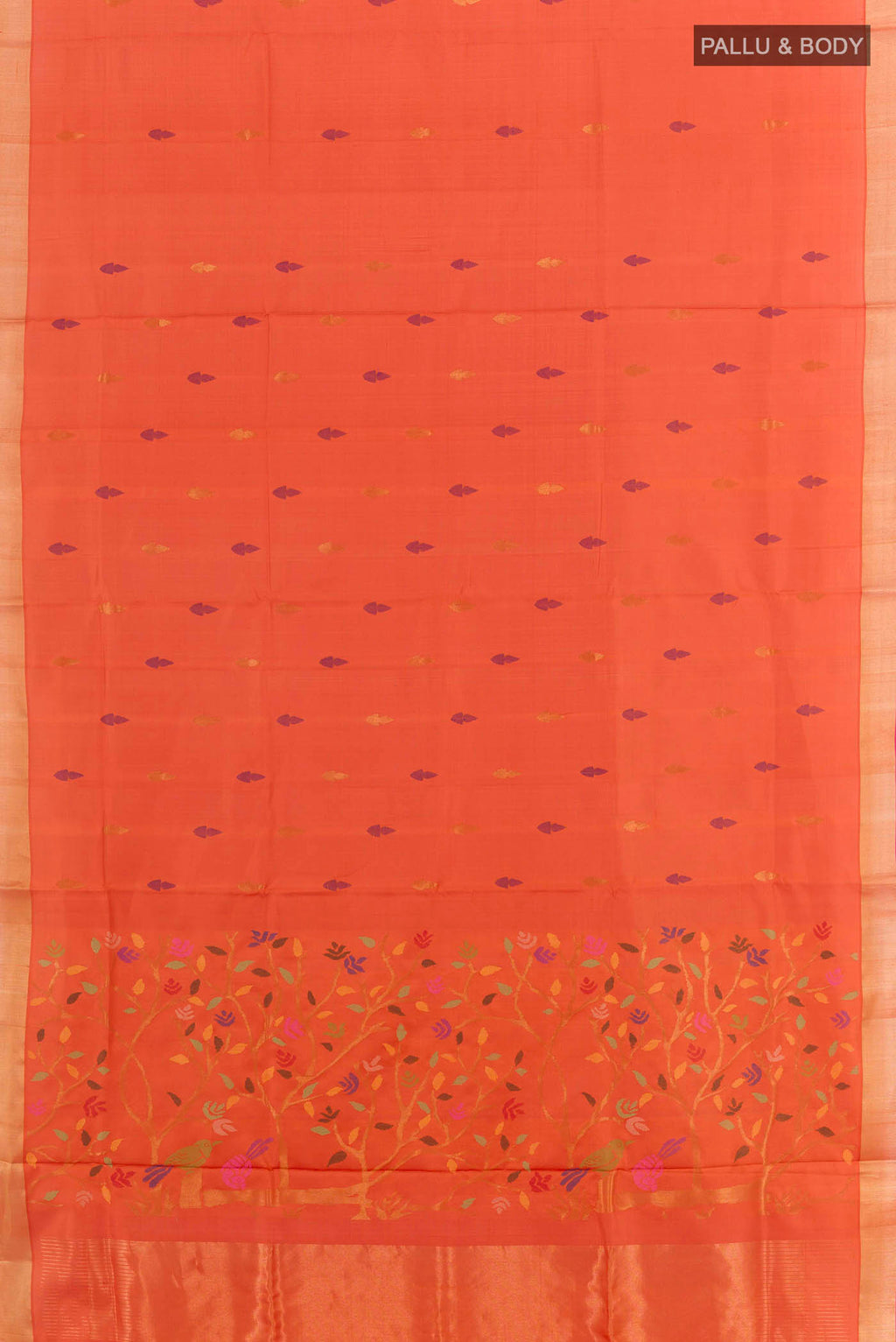 pallu body