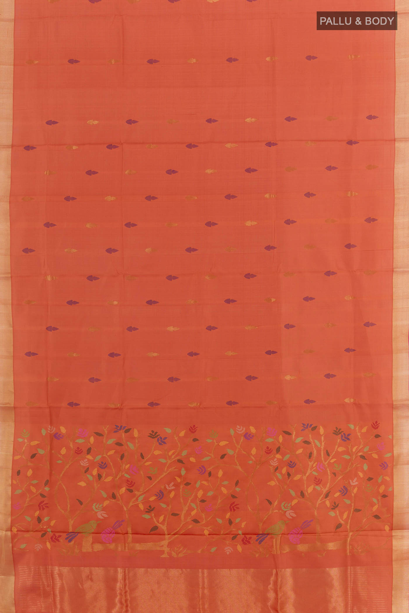 pallu body
