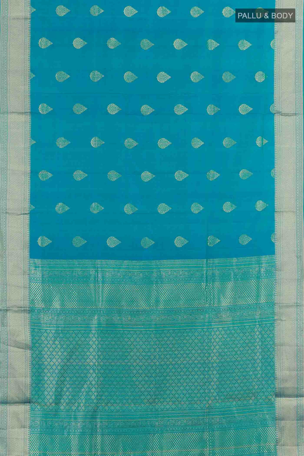 pallu body