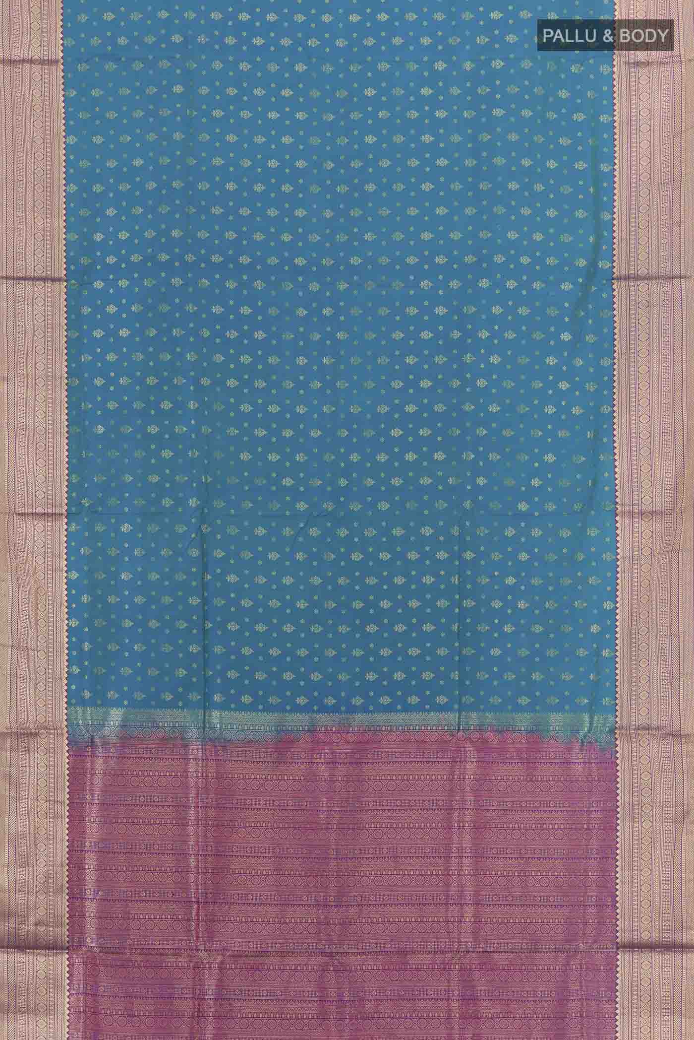pallu body