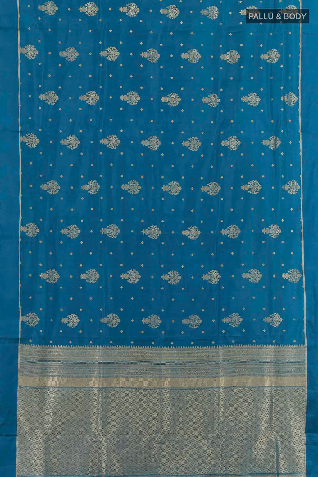 pallu body