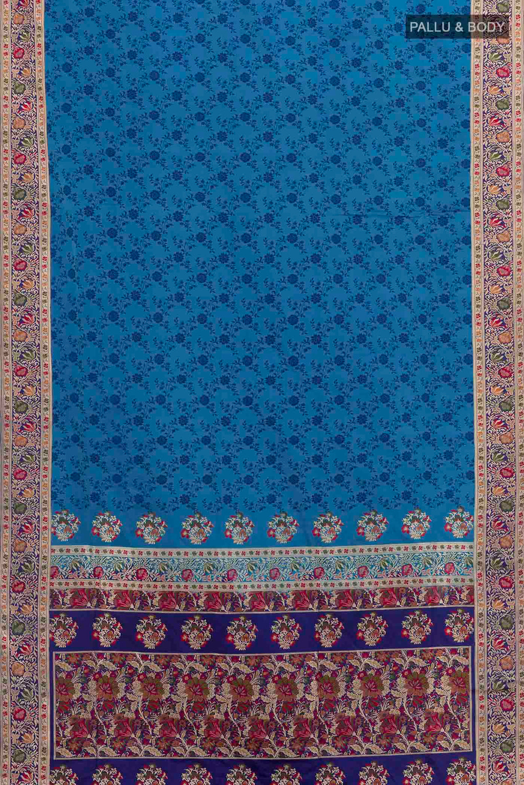 pallu body