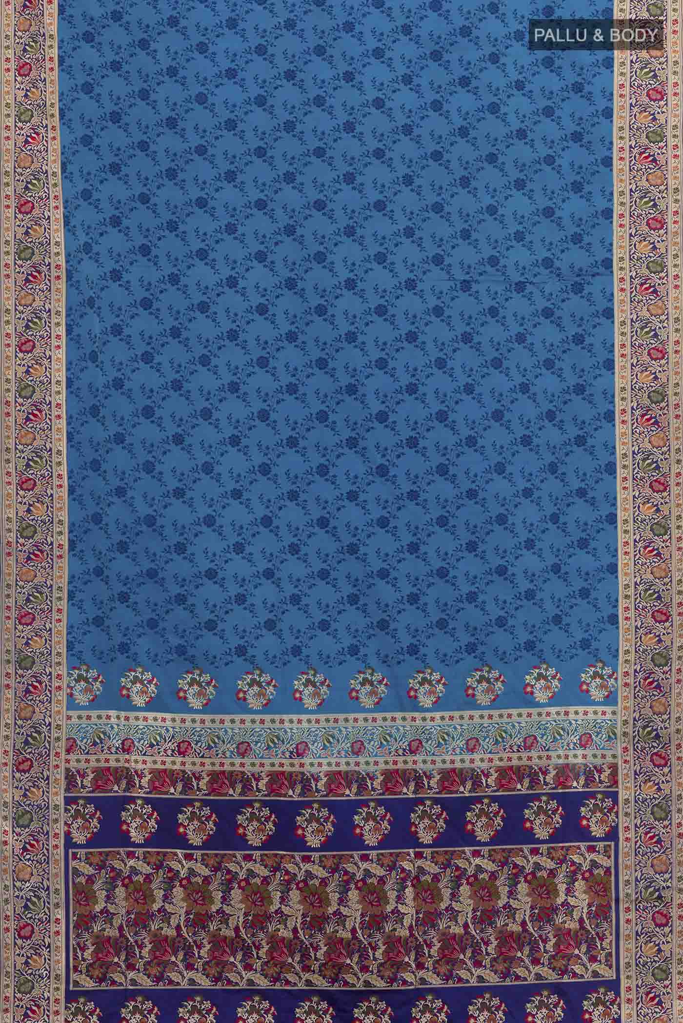 pallu body