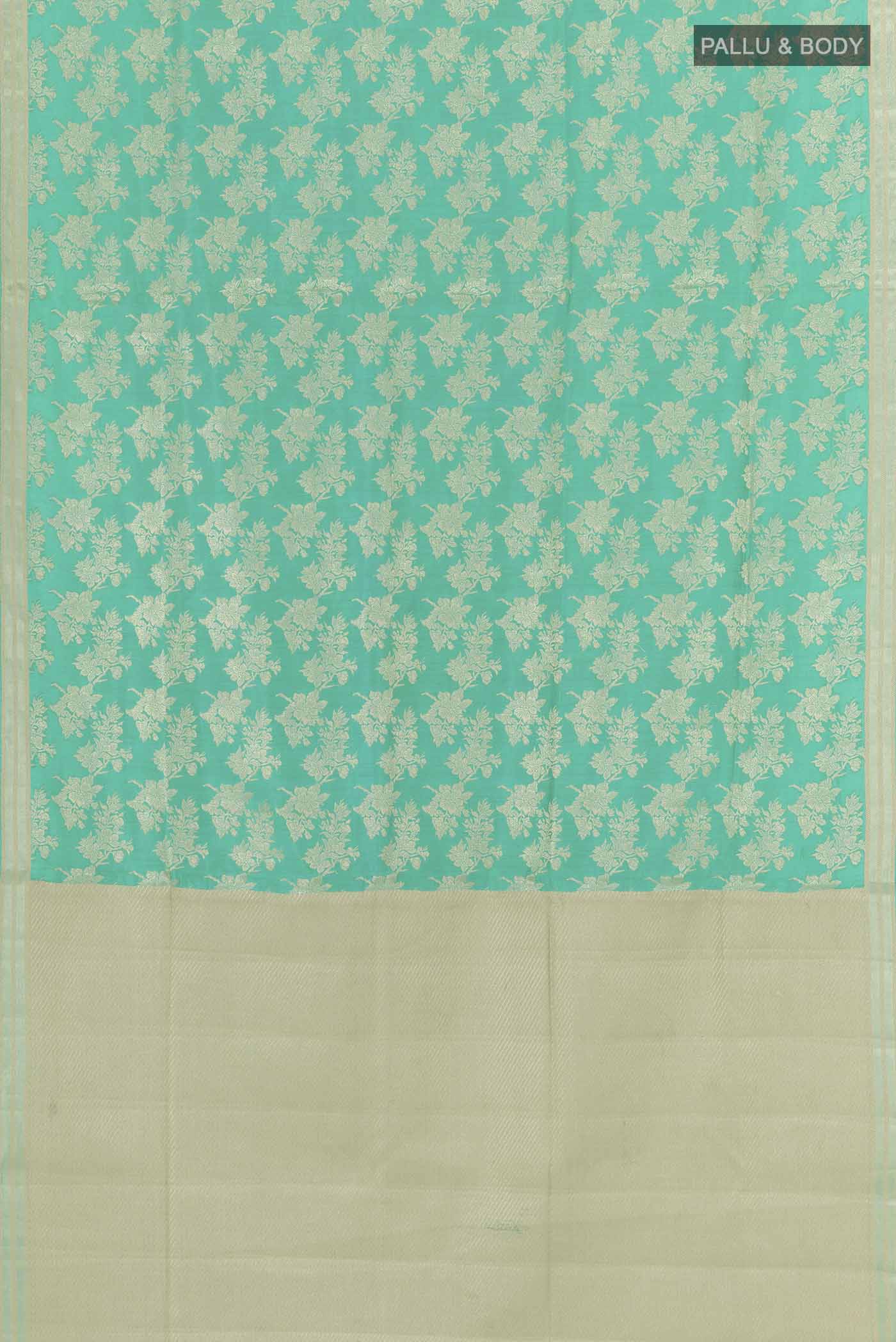 pallu body