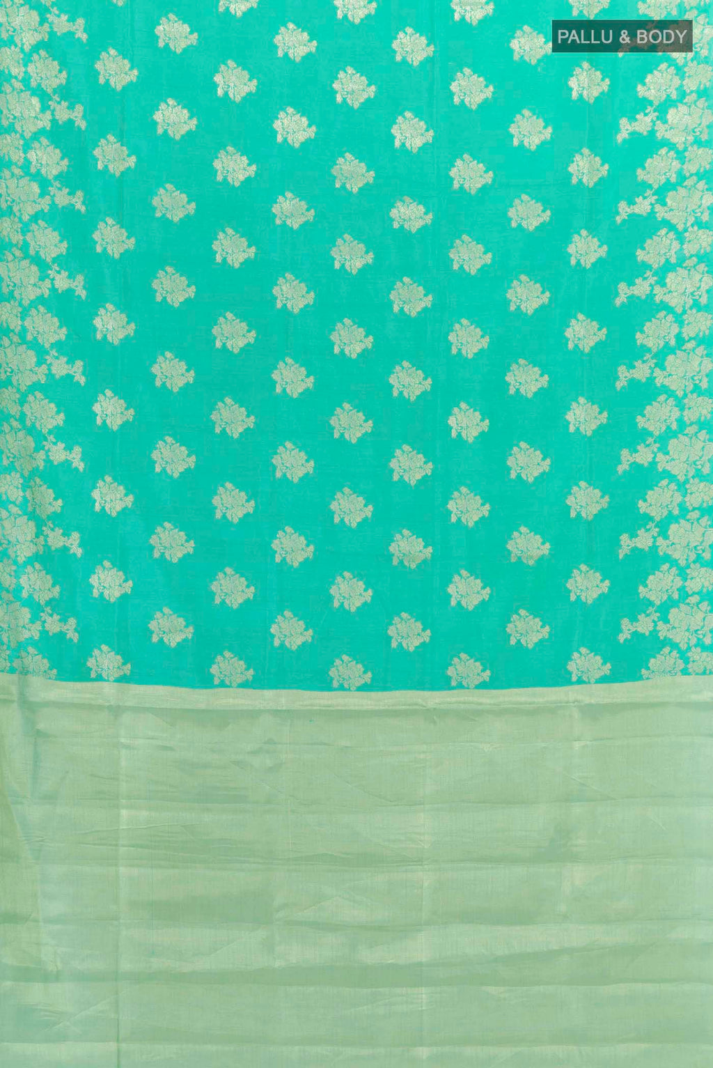 pallu body