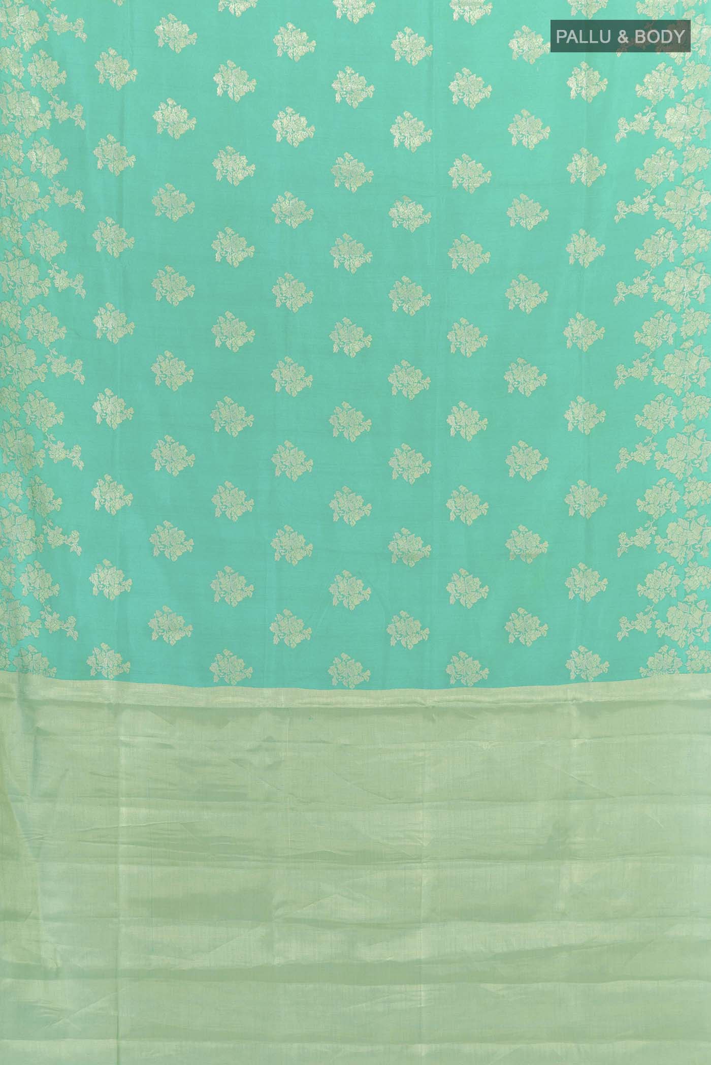 pallu body