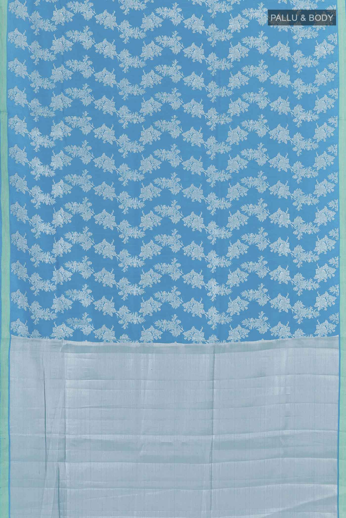 pallu body