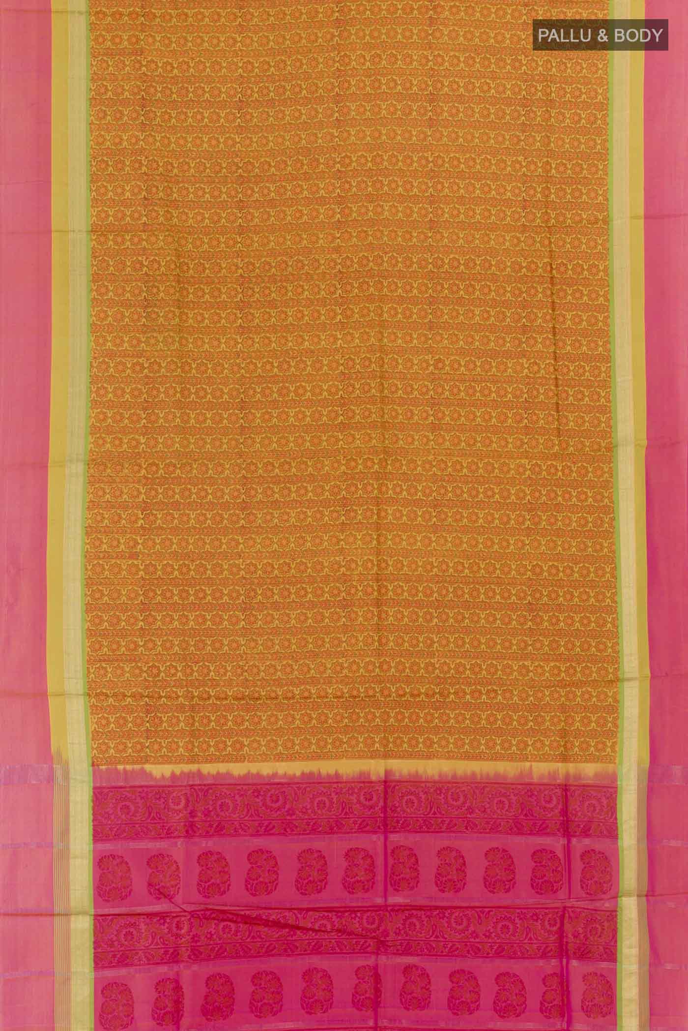 pallu body