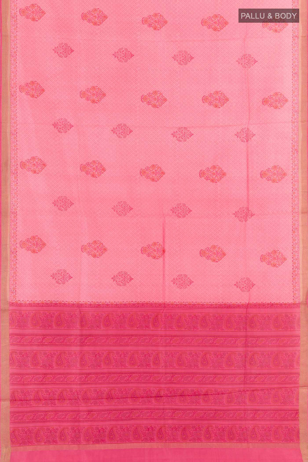 pallu body