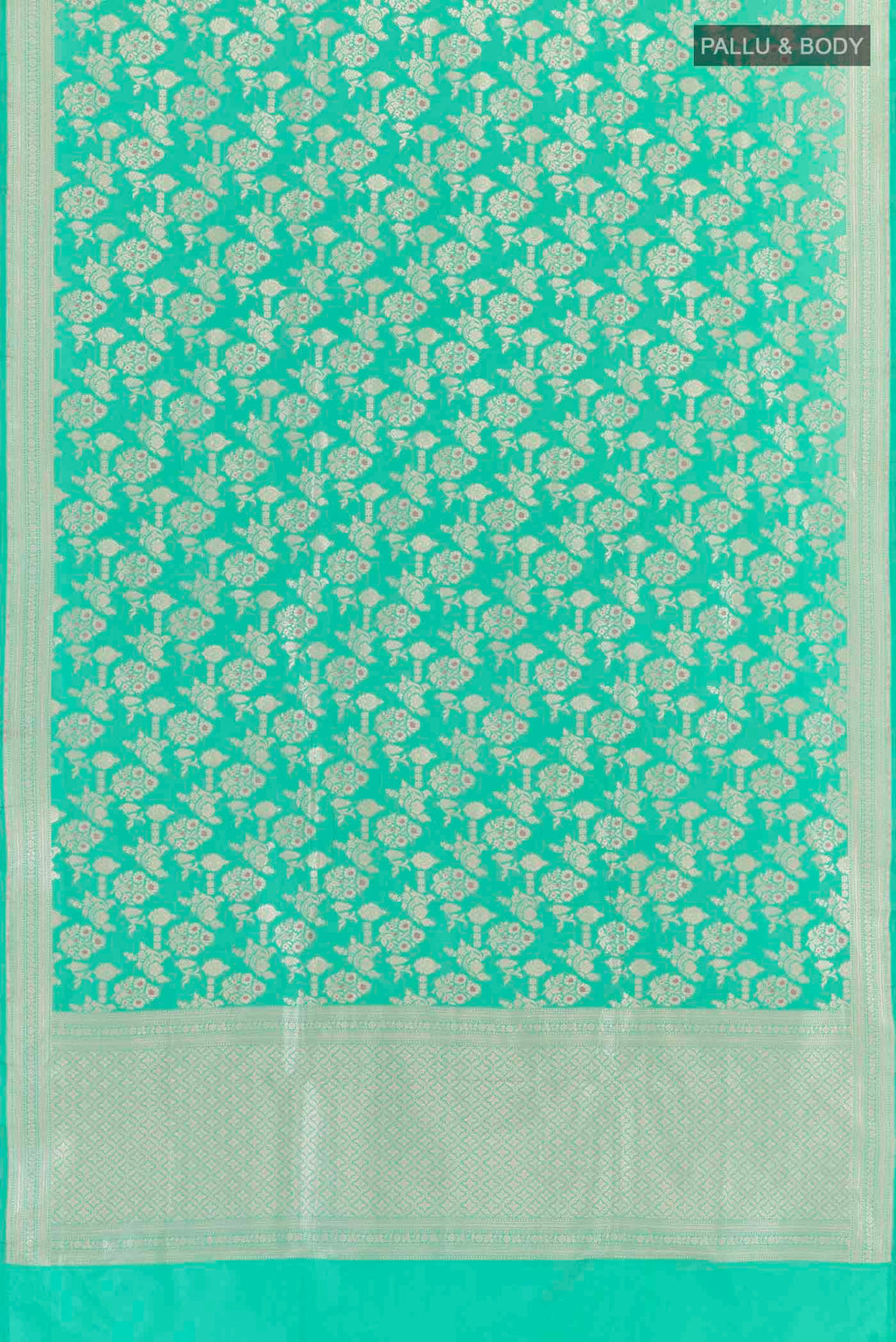 pallu body