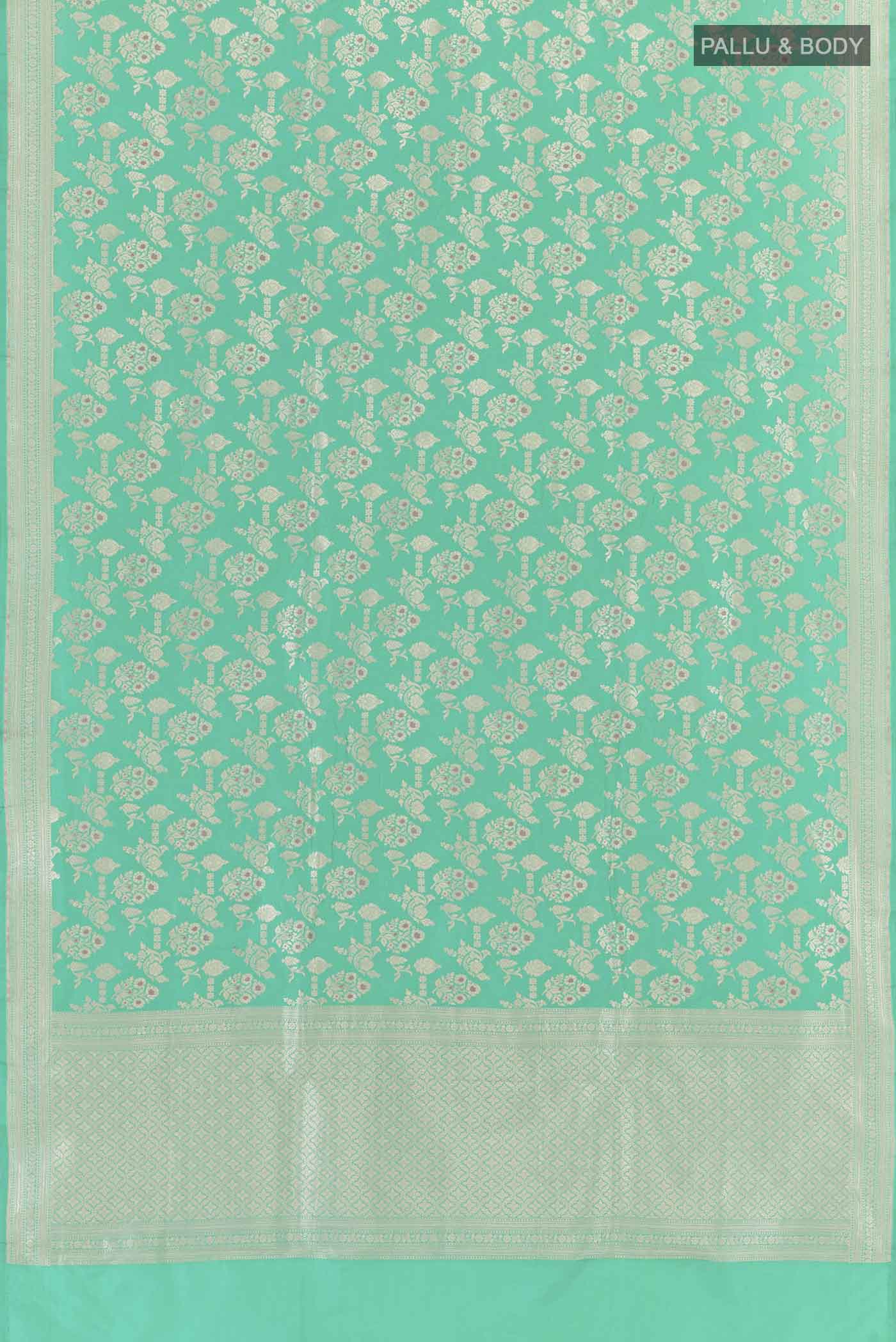 pallu body
