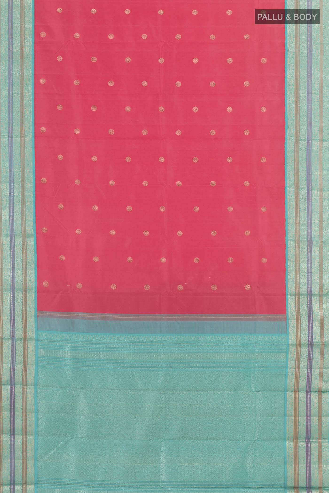 pallu body