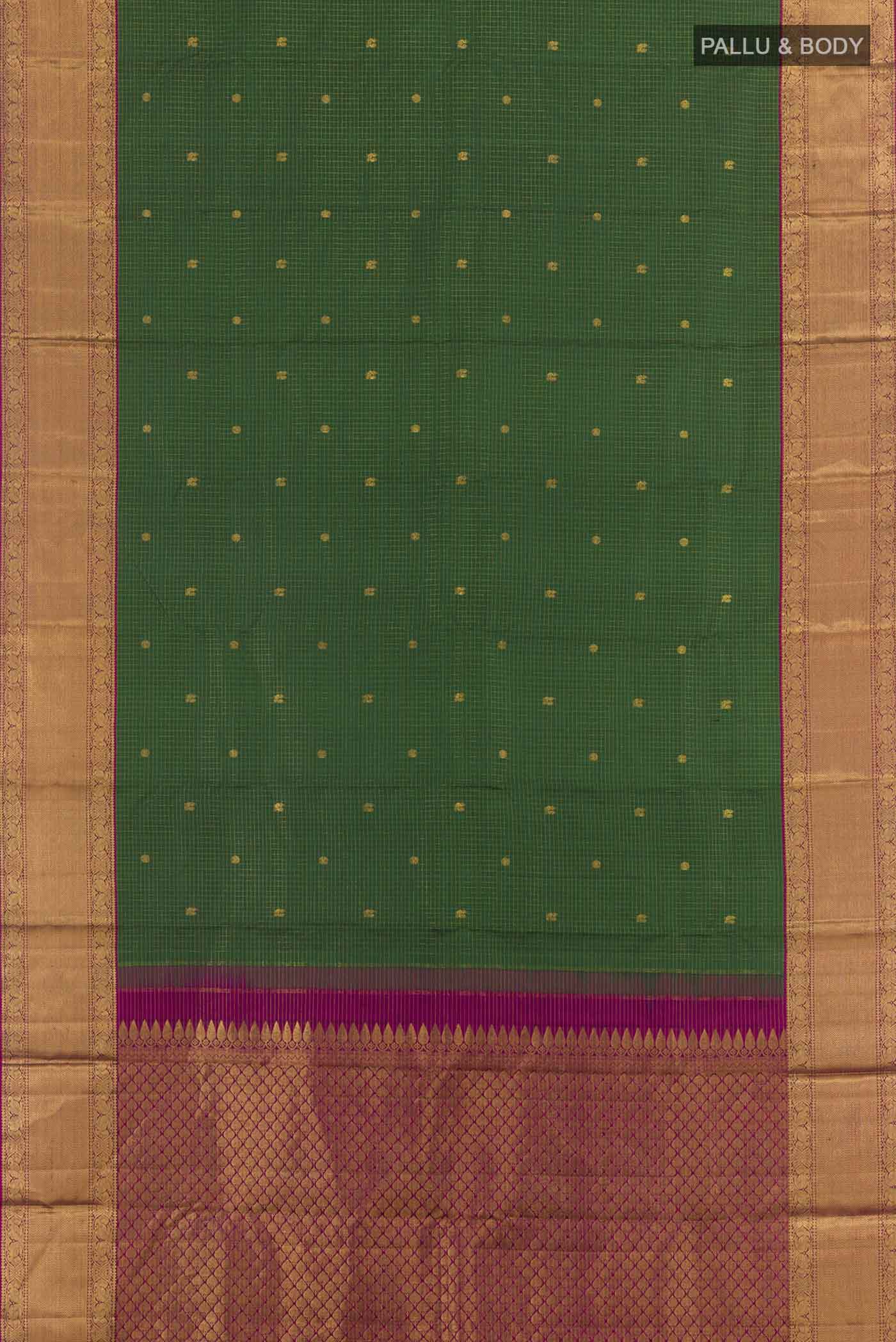 pallu body