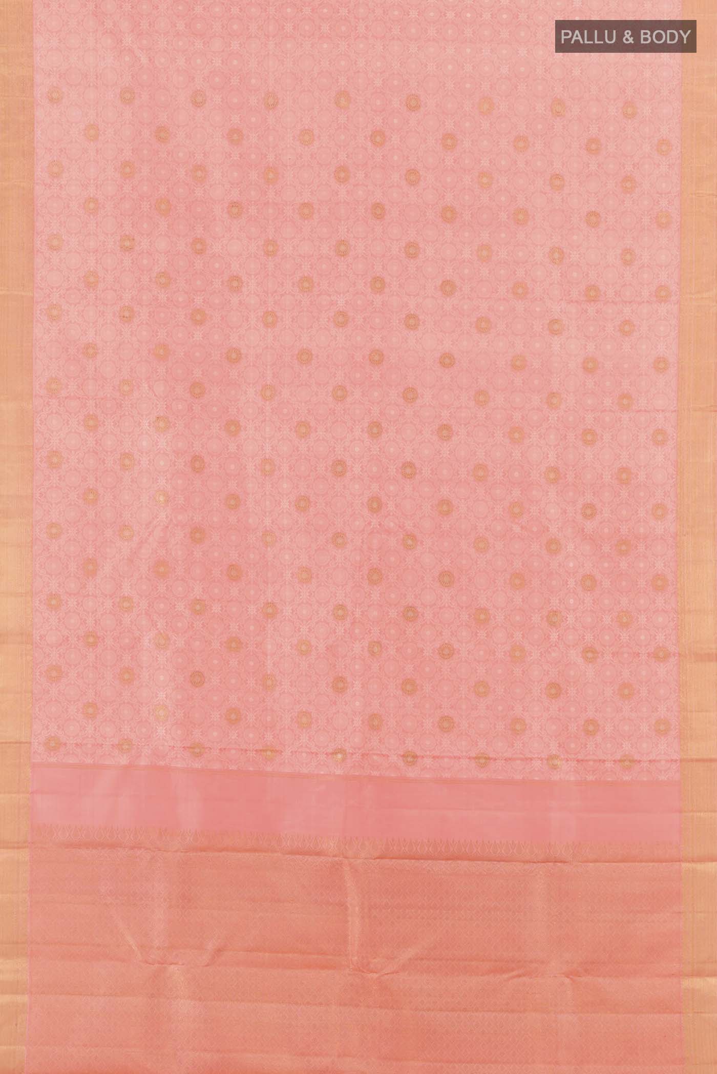 pallu body