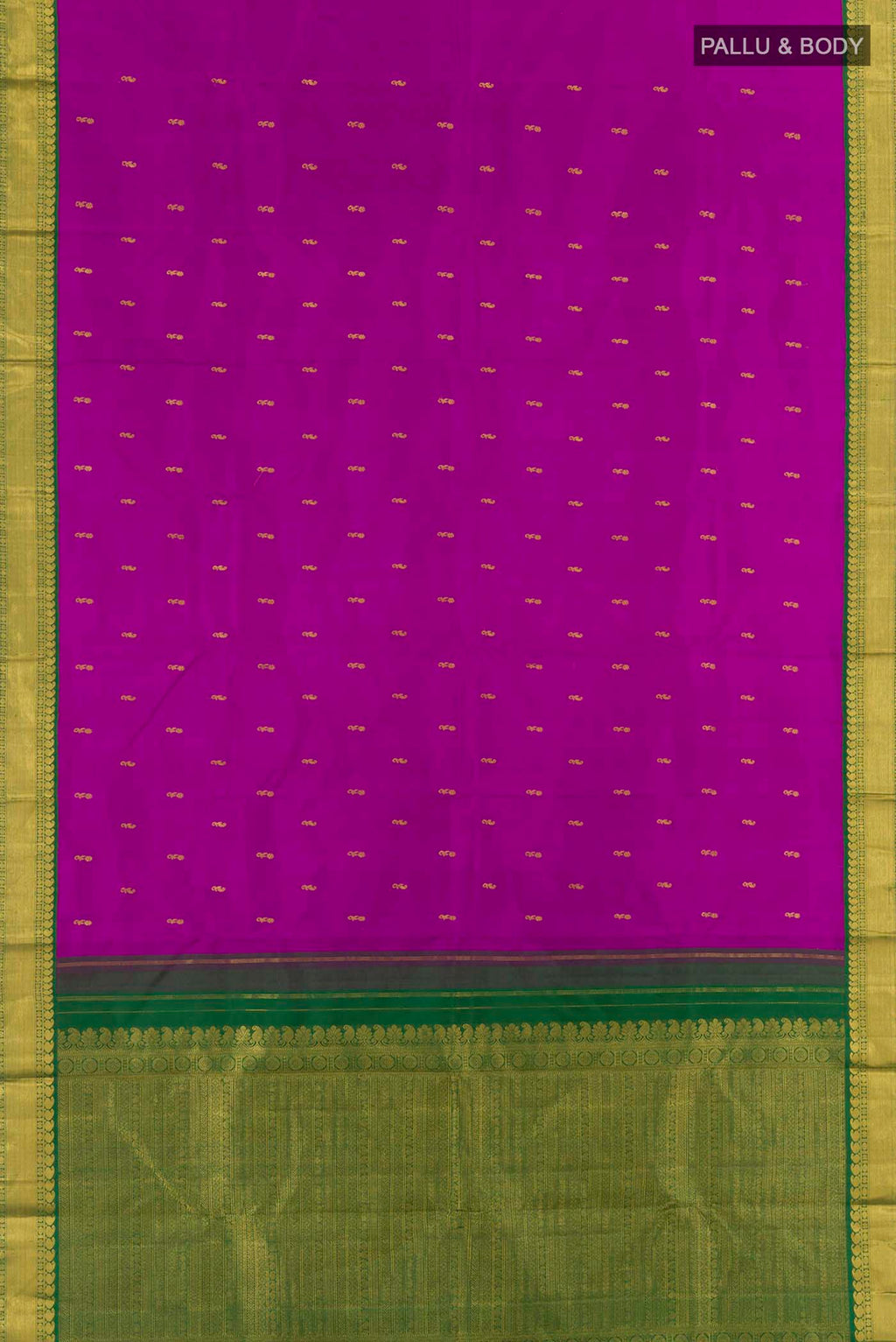 pallu body